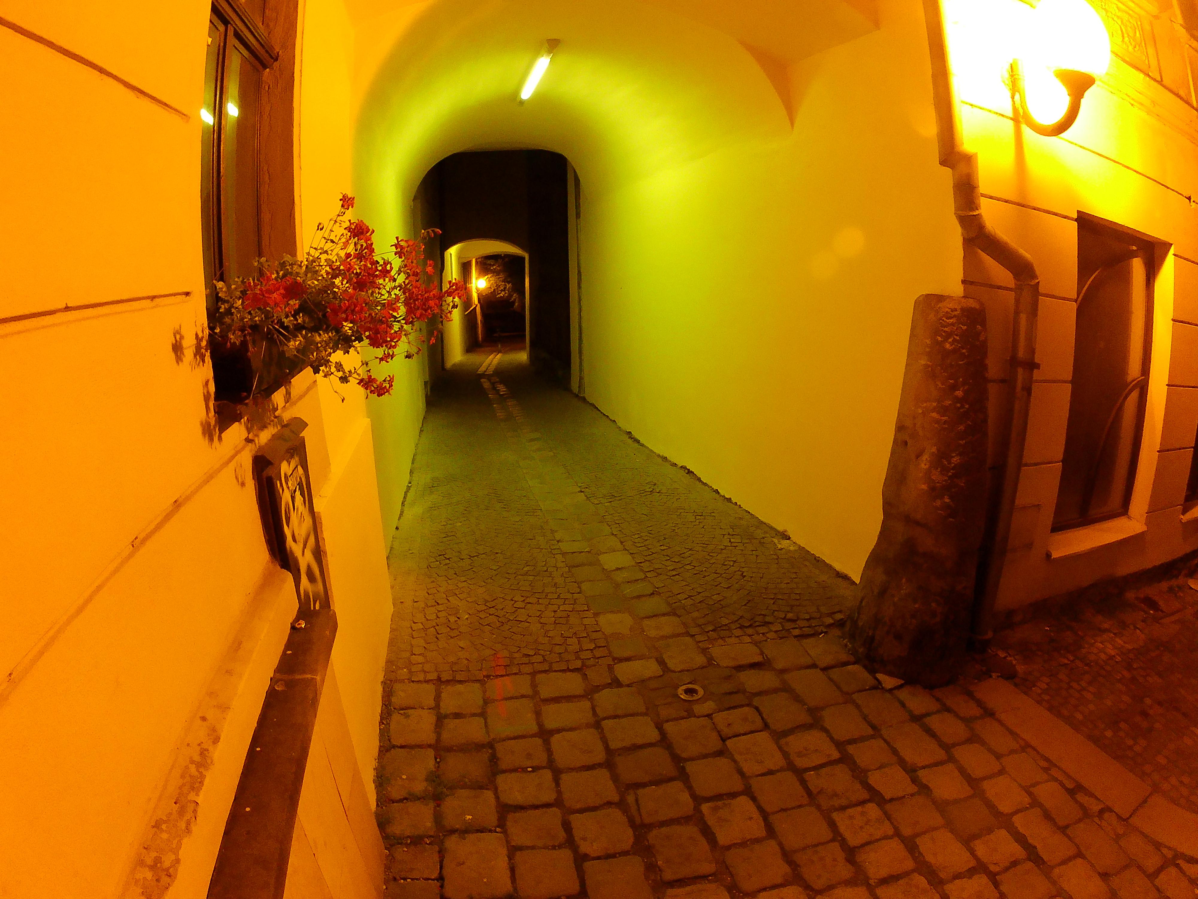 Pekařství U Radnice Horčička foto 2