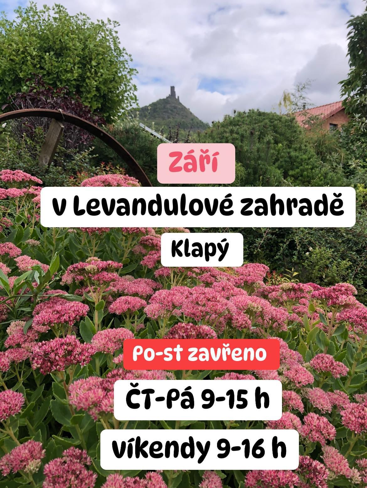 Levandulová zahrada Anette - kavárna foto 2