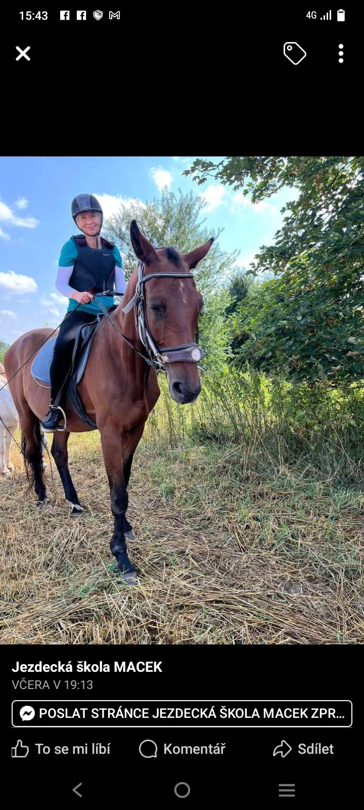 Jezdecká škola MACEK foto 6