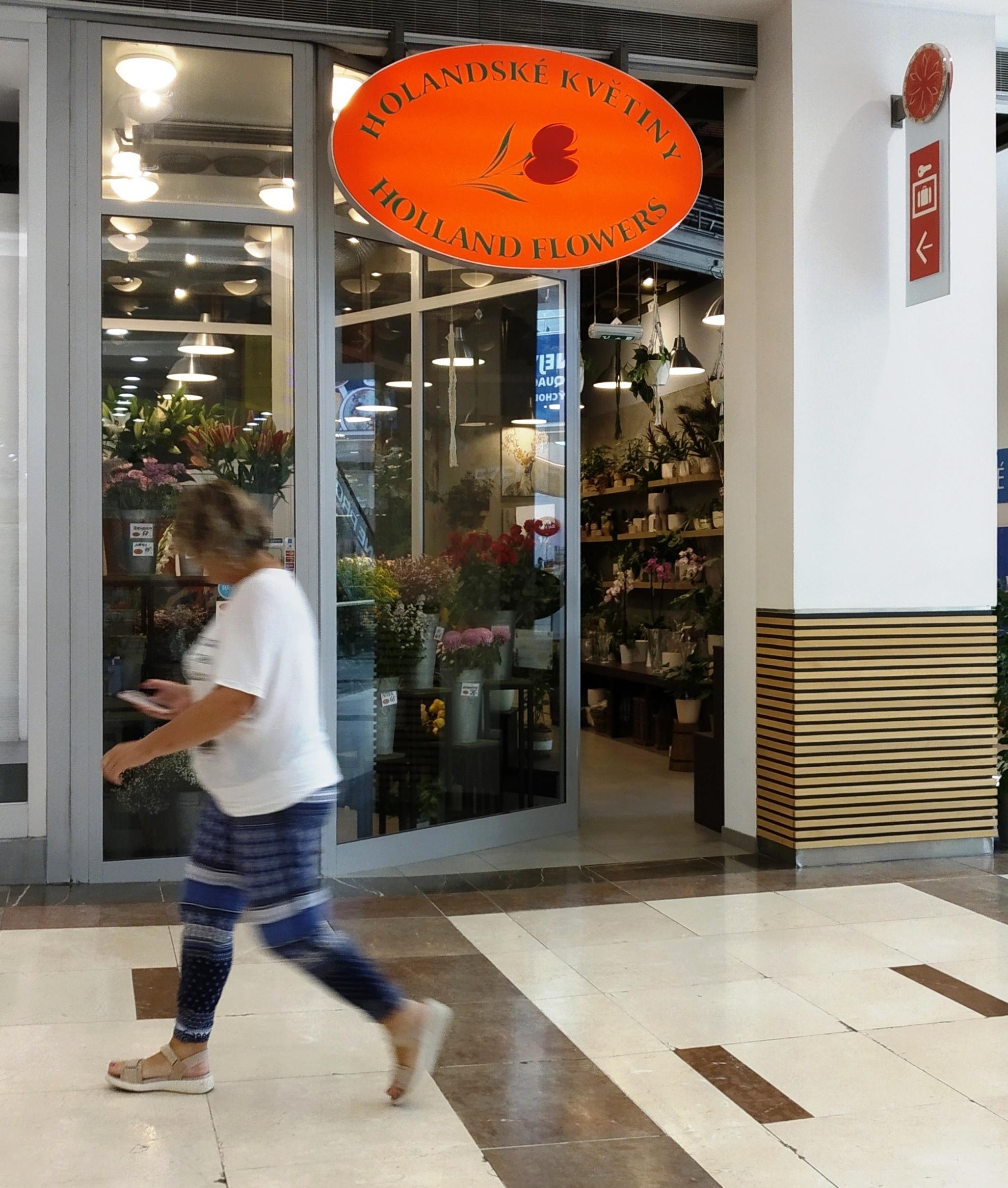 HOLANDSKÉ KVĚTINY, s.r.o. foto 4