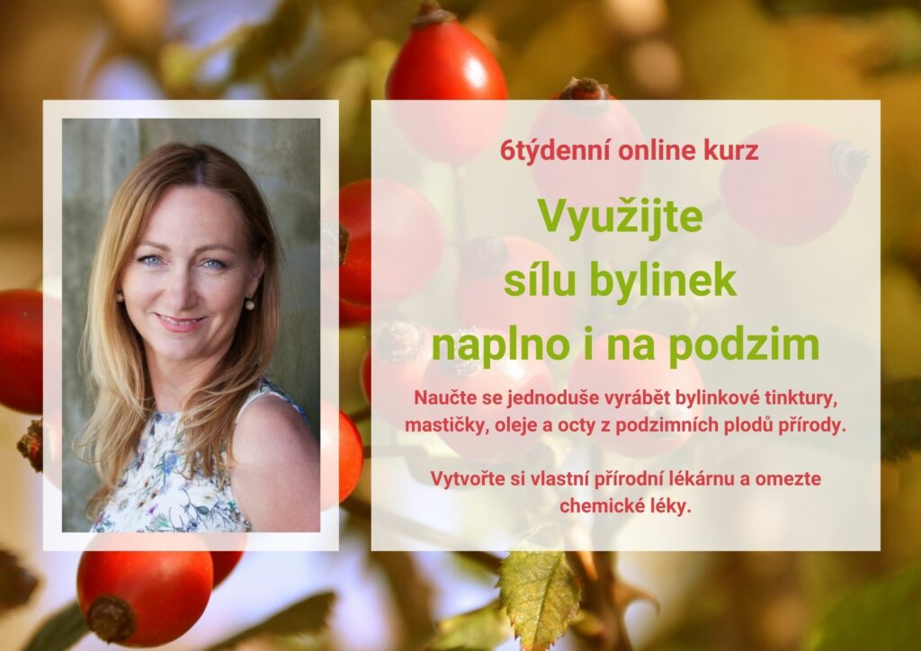 Vendy Blínová foto 4