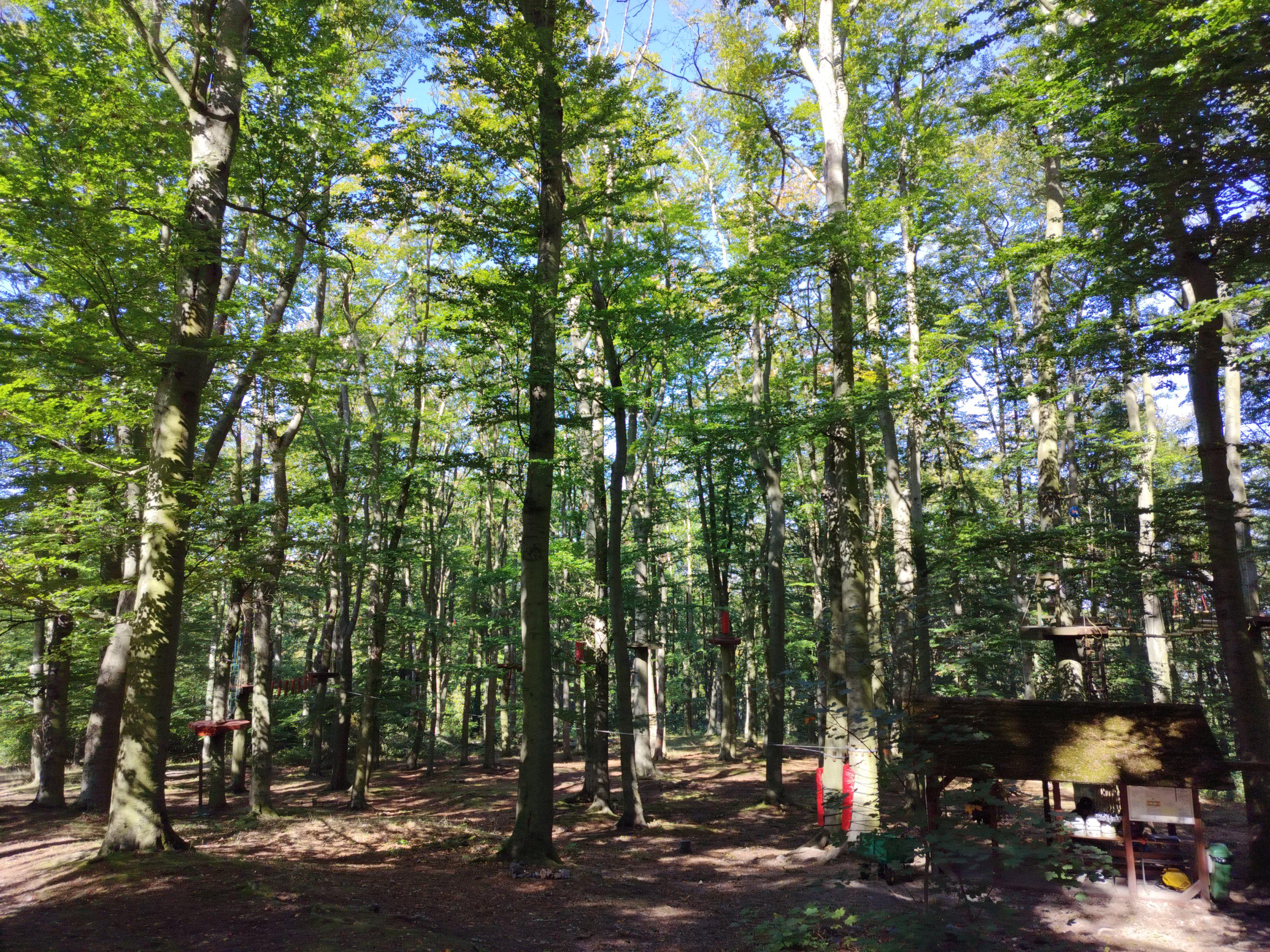 Lanové centrum zámku Zbiroh foto 2