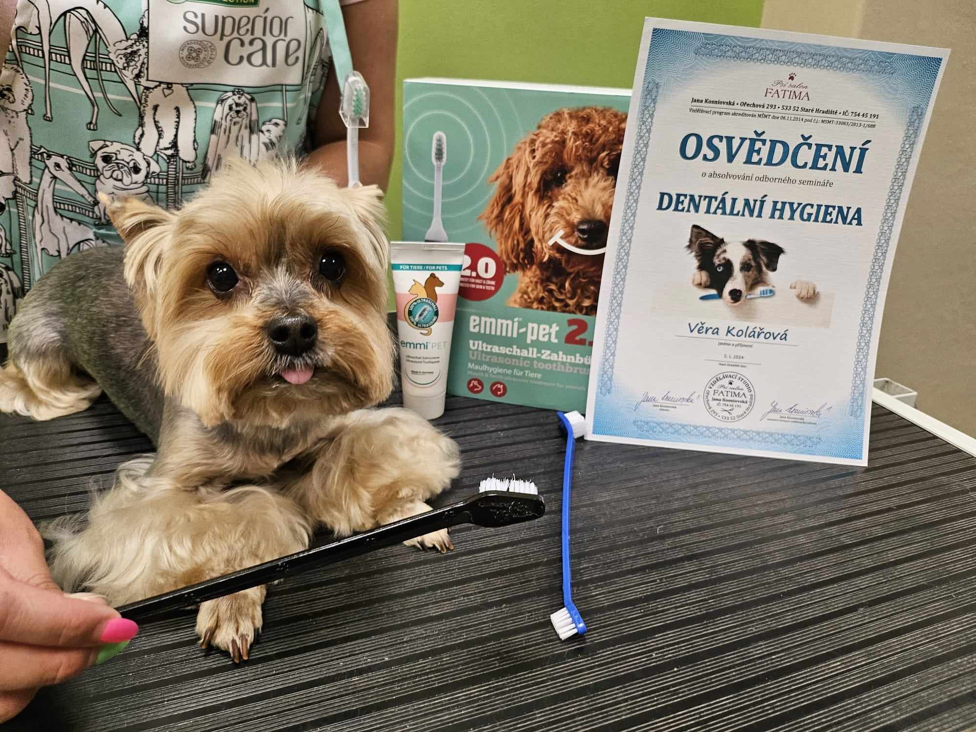 Preventivní dentální hygiena pro psy