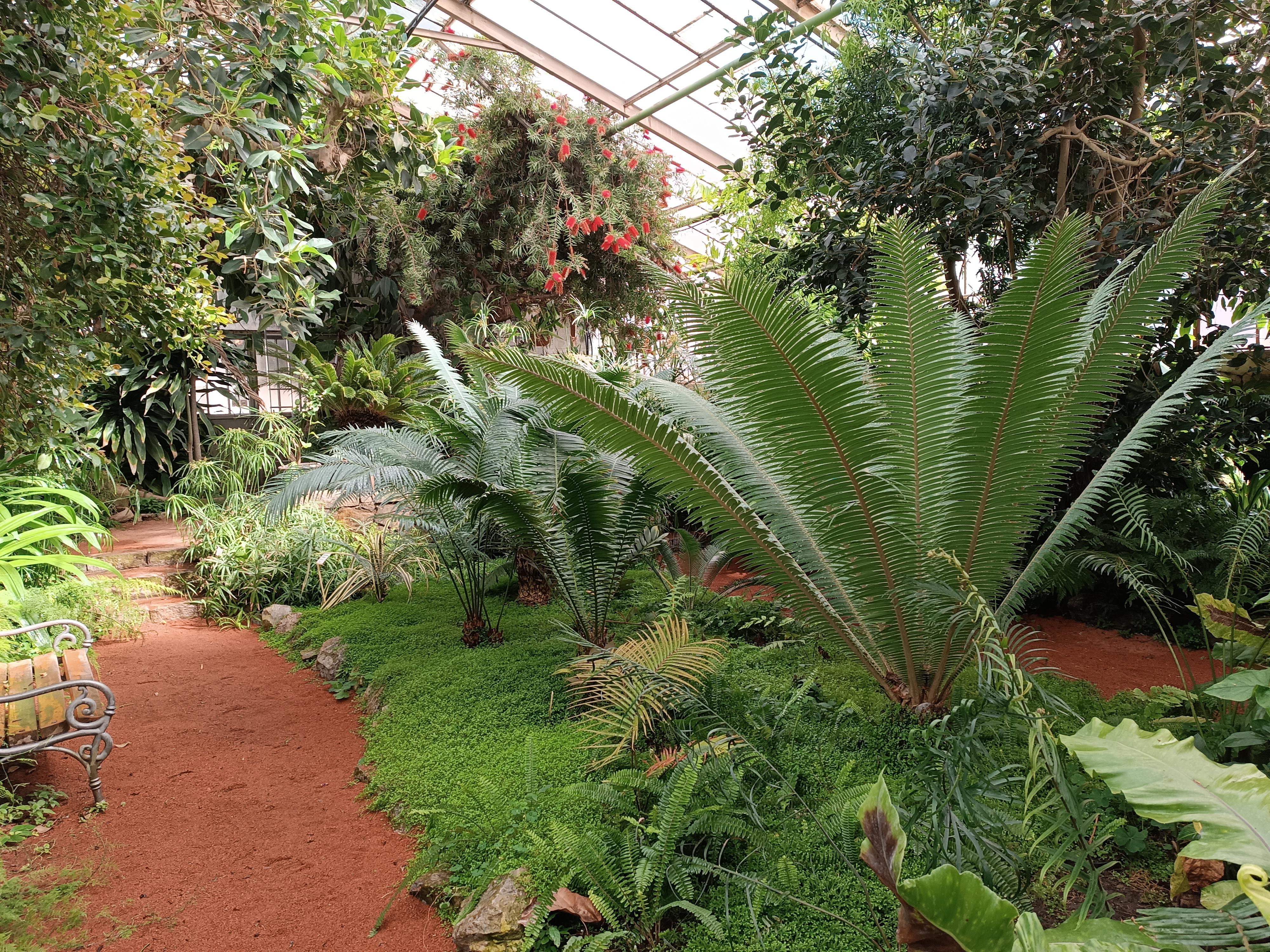 Zimní zahrada Nemocnice TGM Hodonín foto 6