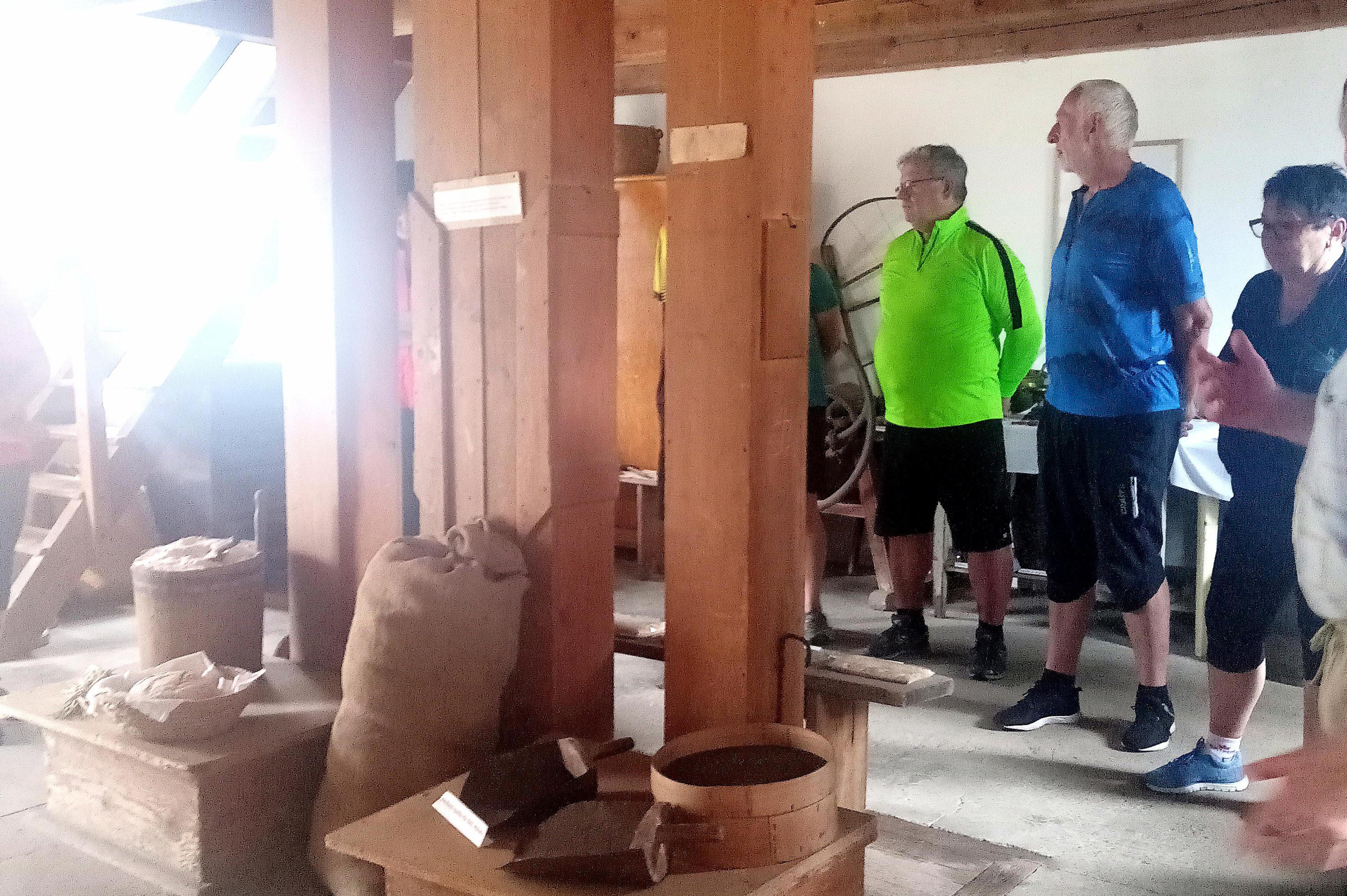 Prohlídky s průvodcem