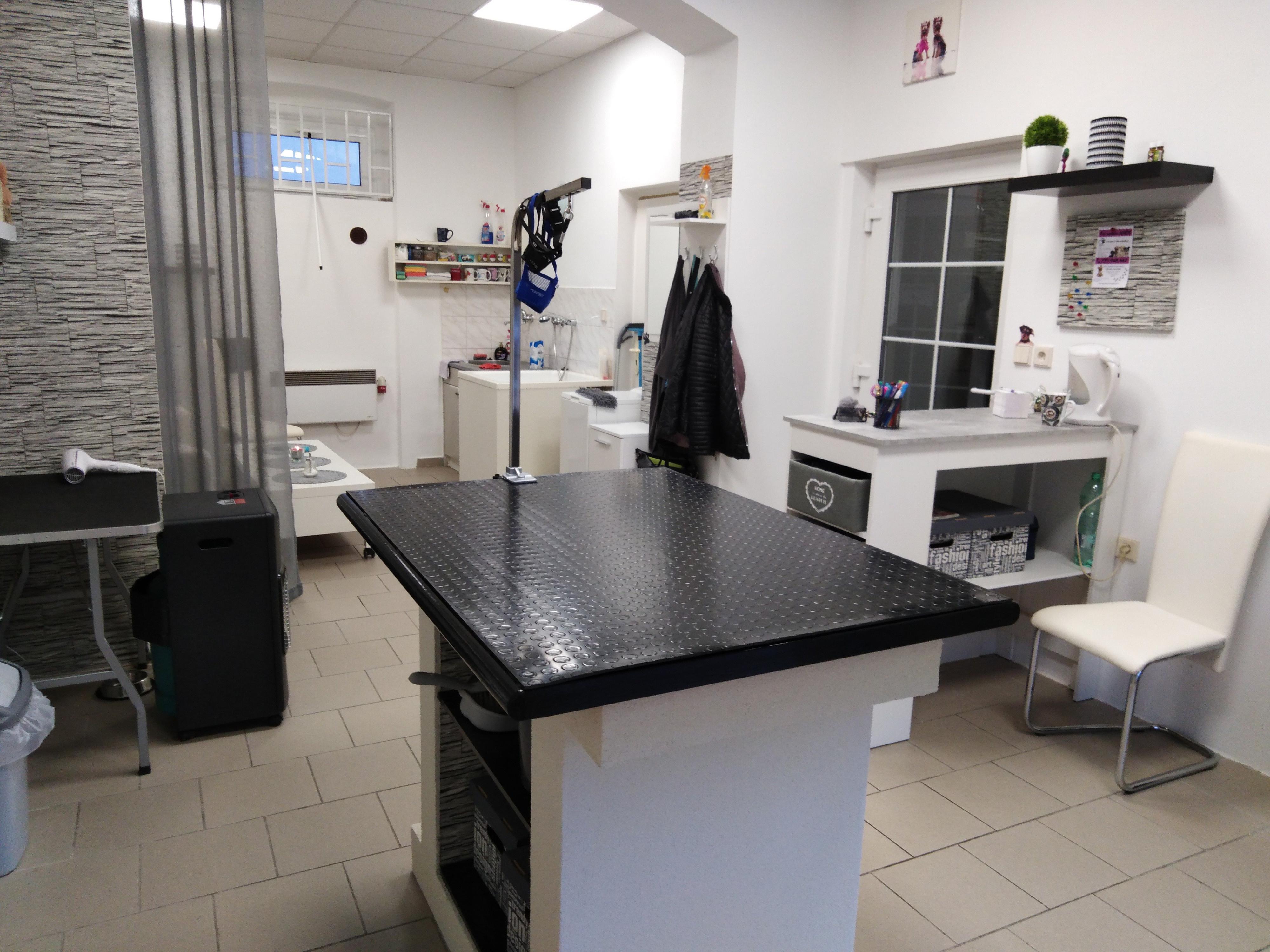 Andrea Thomasová - Psí salon ANDY foto 2