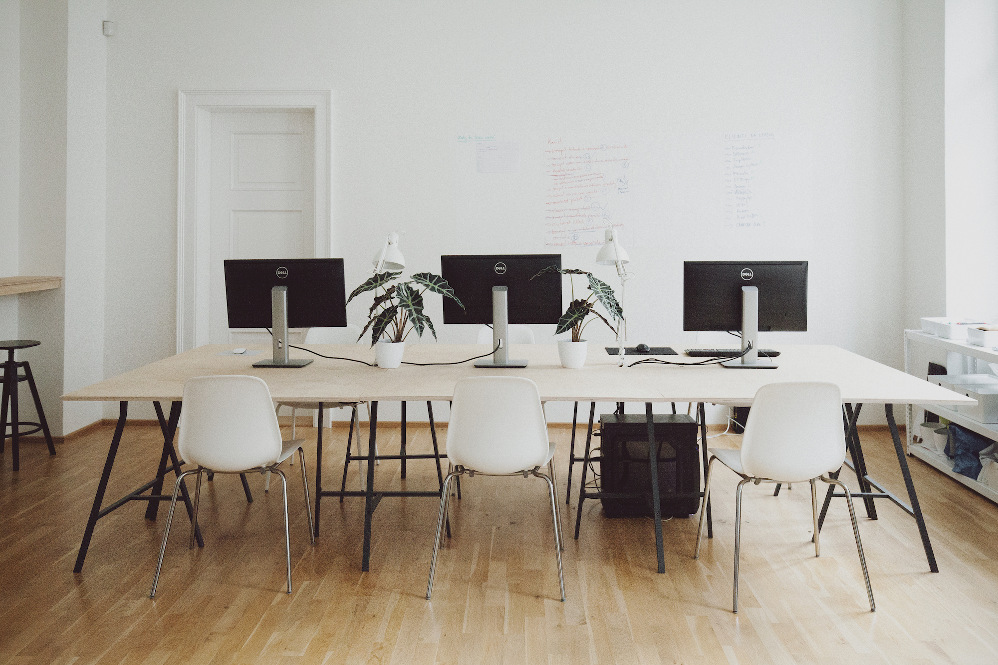 Digital Ants s.r.o. foto 3