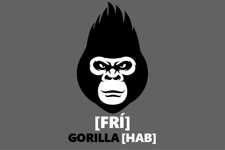 Den nebo týden v GORILLA HUB s tarifem [FRÍ]