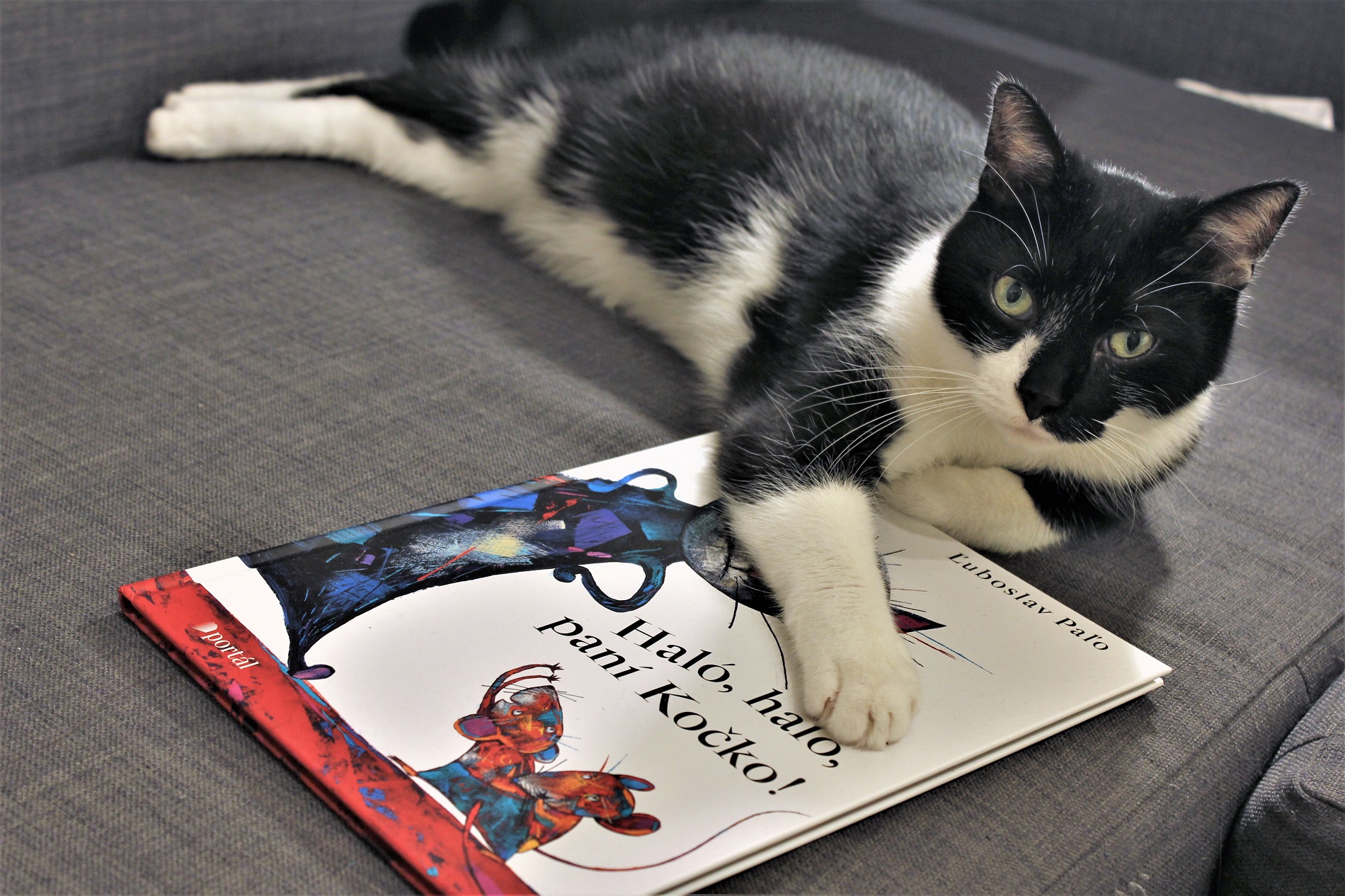 PORTÁL s.r.o. foto 4