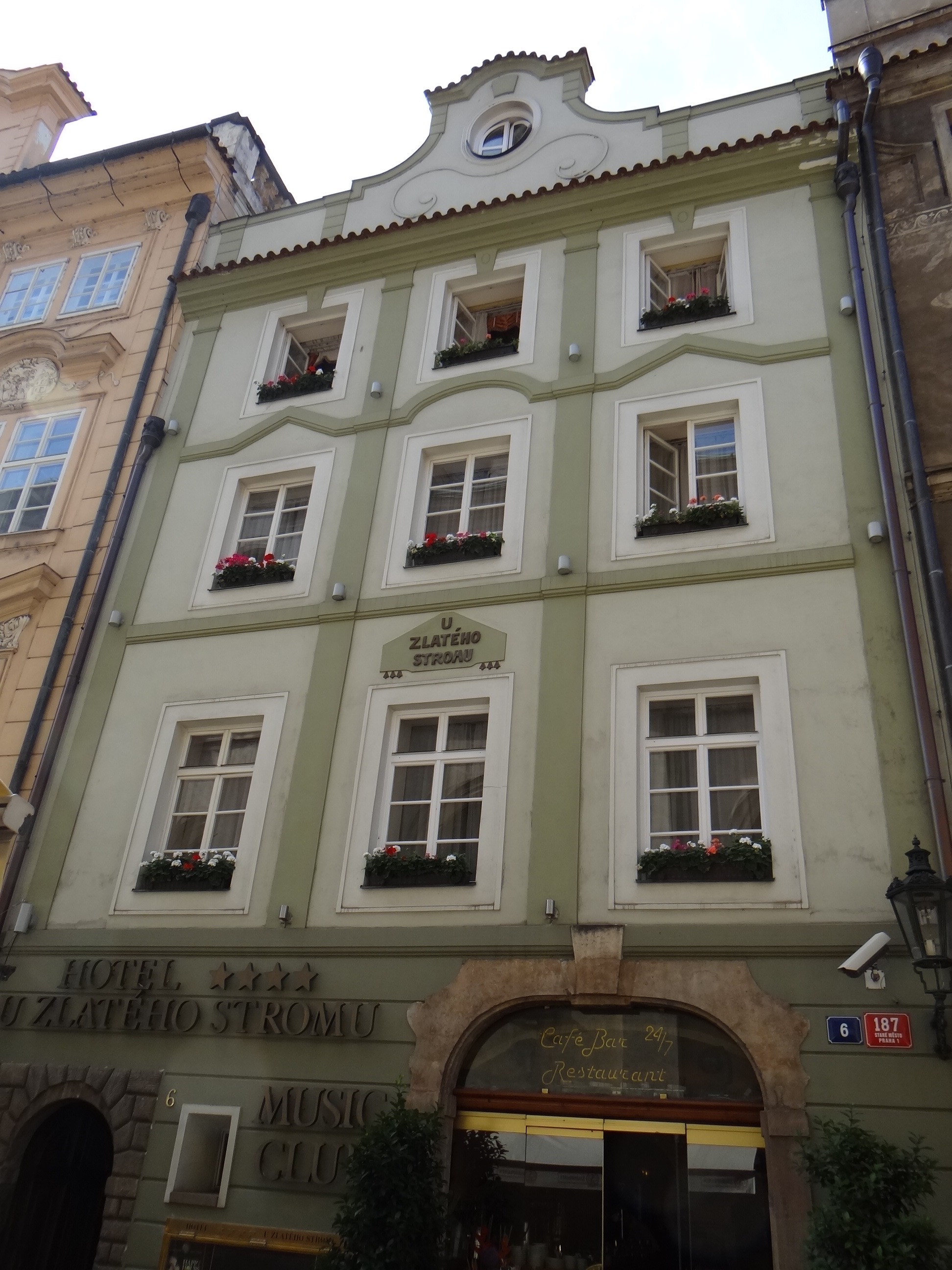 Restaurace U Zlatého Stromu foto 3