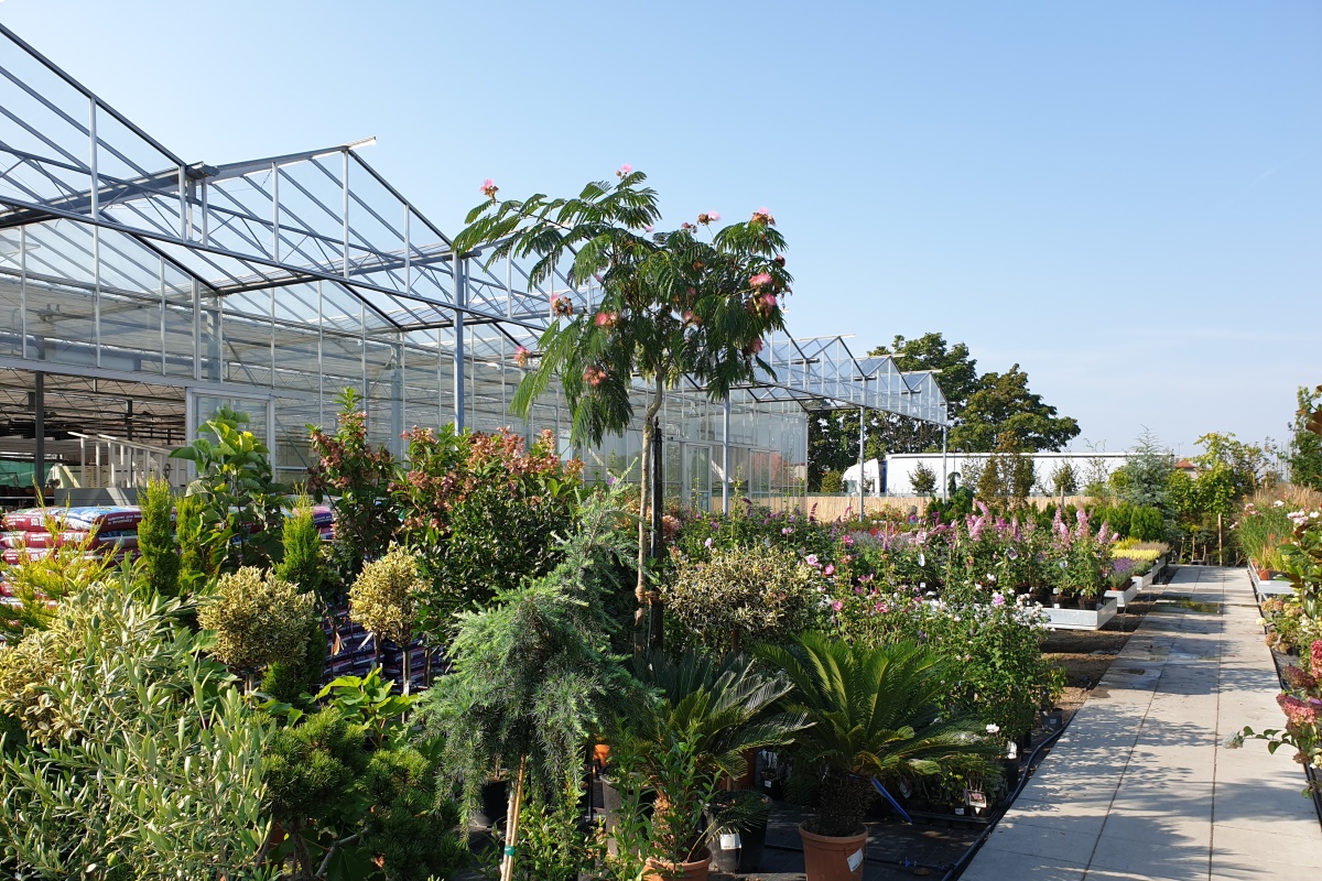 Zahradnictví Spomyšl foto 3