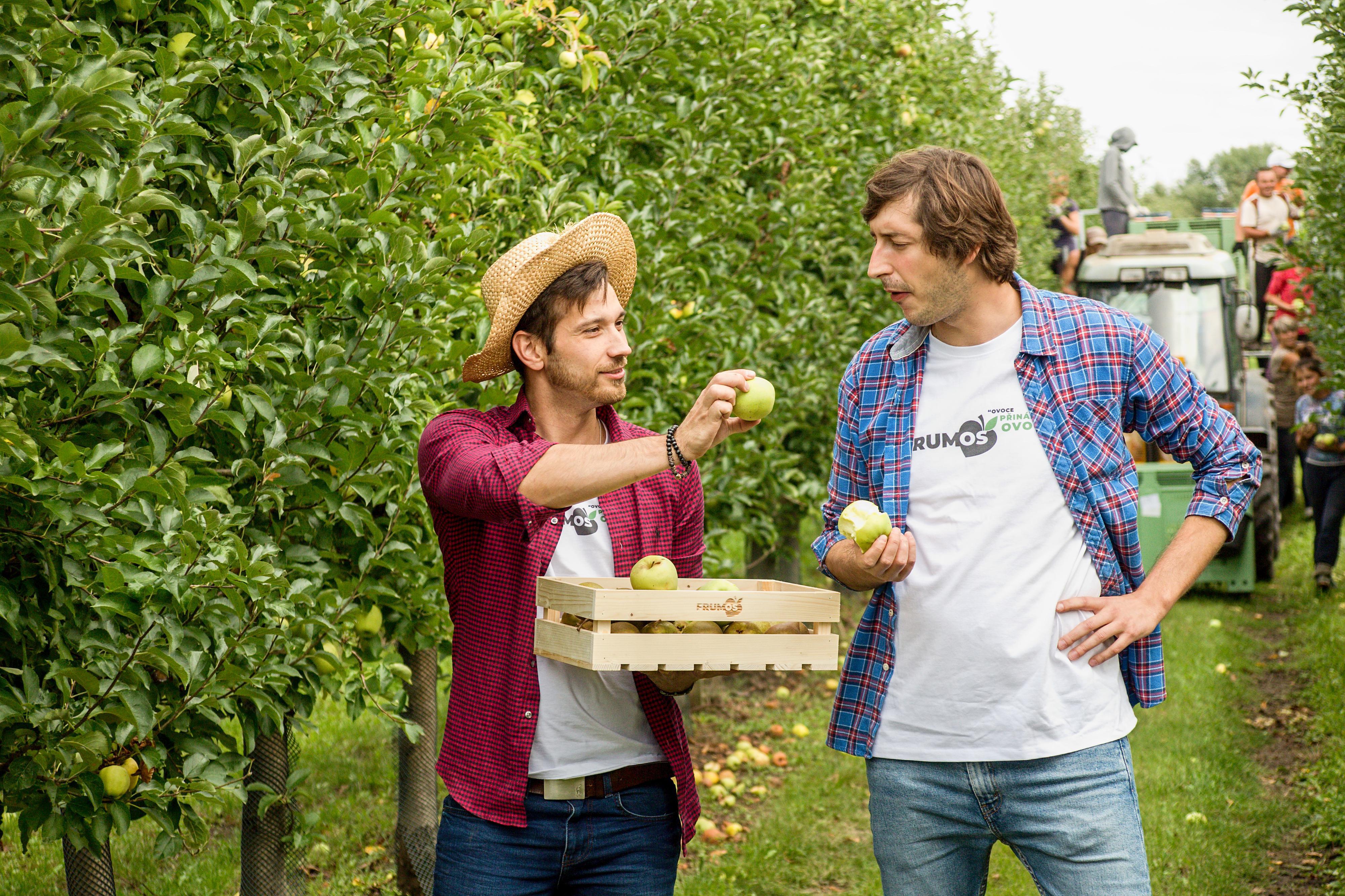 Frumoš - ovoce do kanceláře