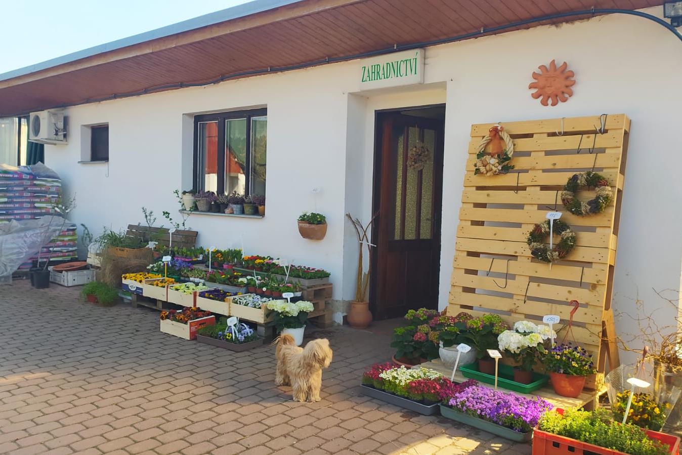 Zahradnictví Senohraby