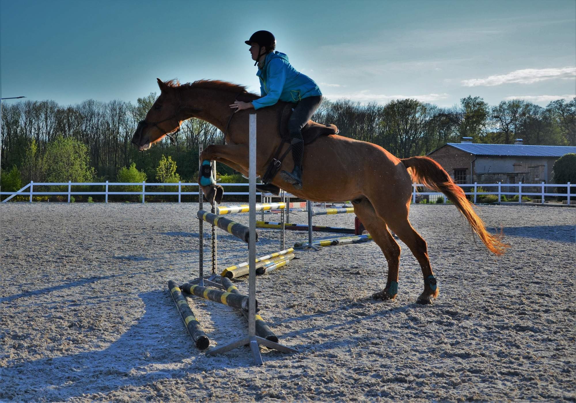 Cleverhorse.cz foto 5