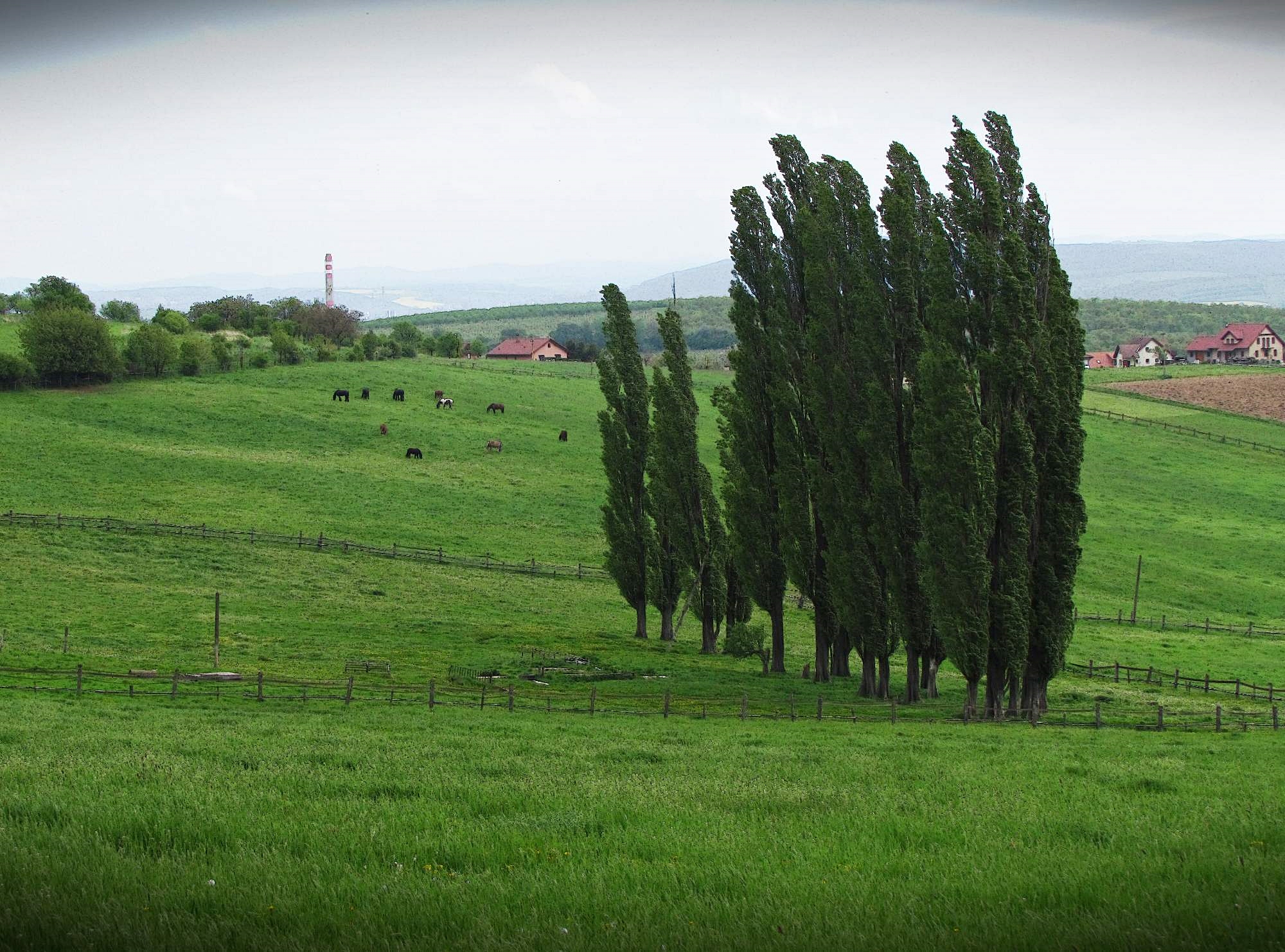 Farma Žlutava foto 6