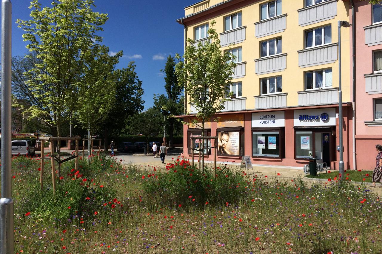 Allianz Tomáš Budinský