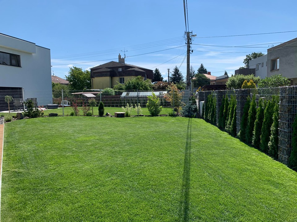 RPZELEŇ foto 2