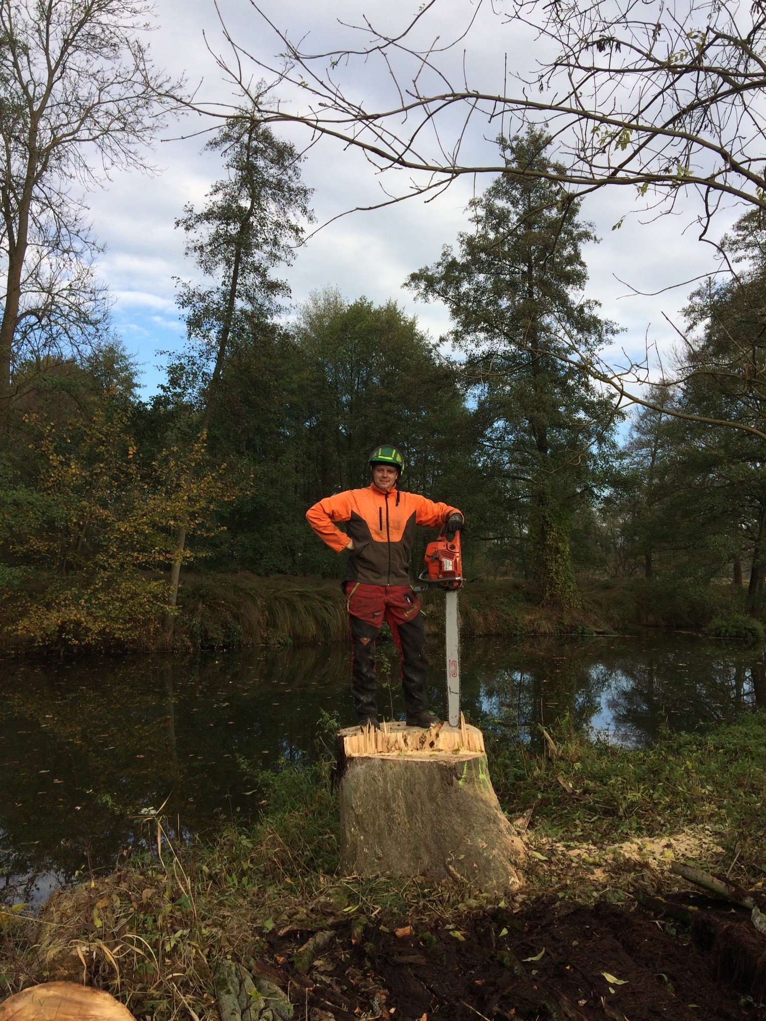 Rizikové kácení Setvín - Rikas.cz foto 2