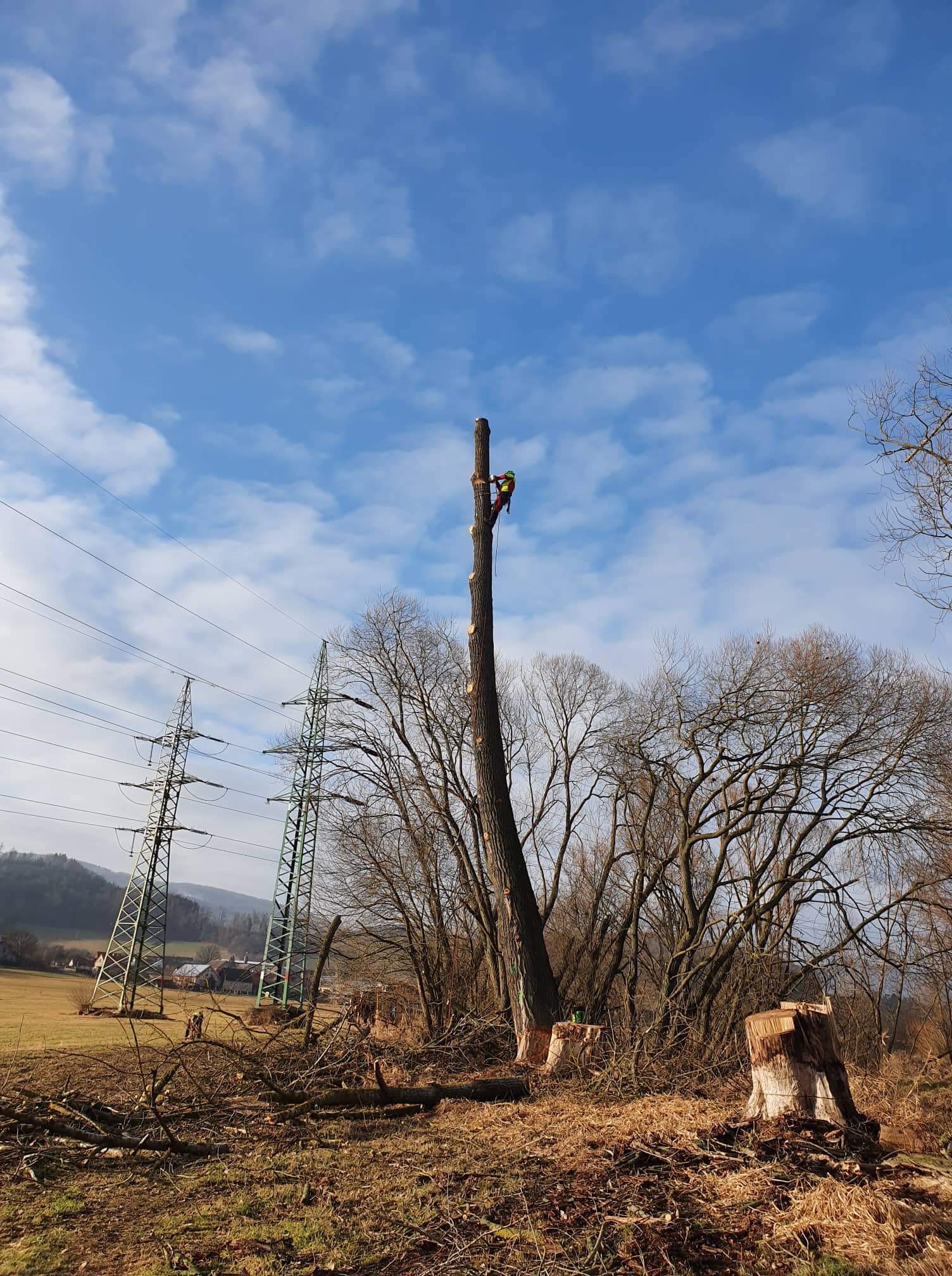 Rizikové kácení Setvín - Rikas.cz foto 3