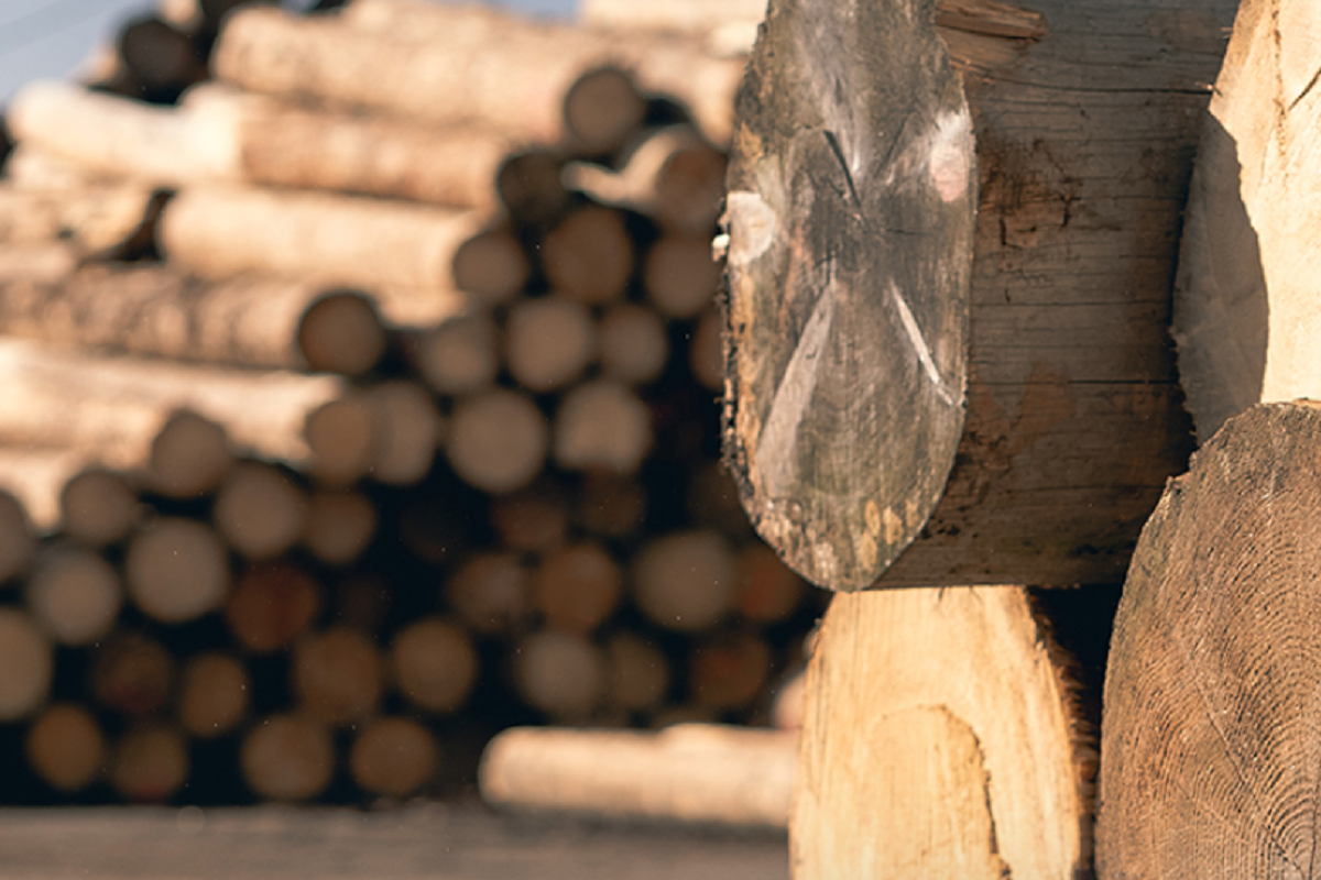 BIOMAC s.r.o. foto 2