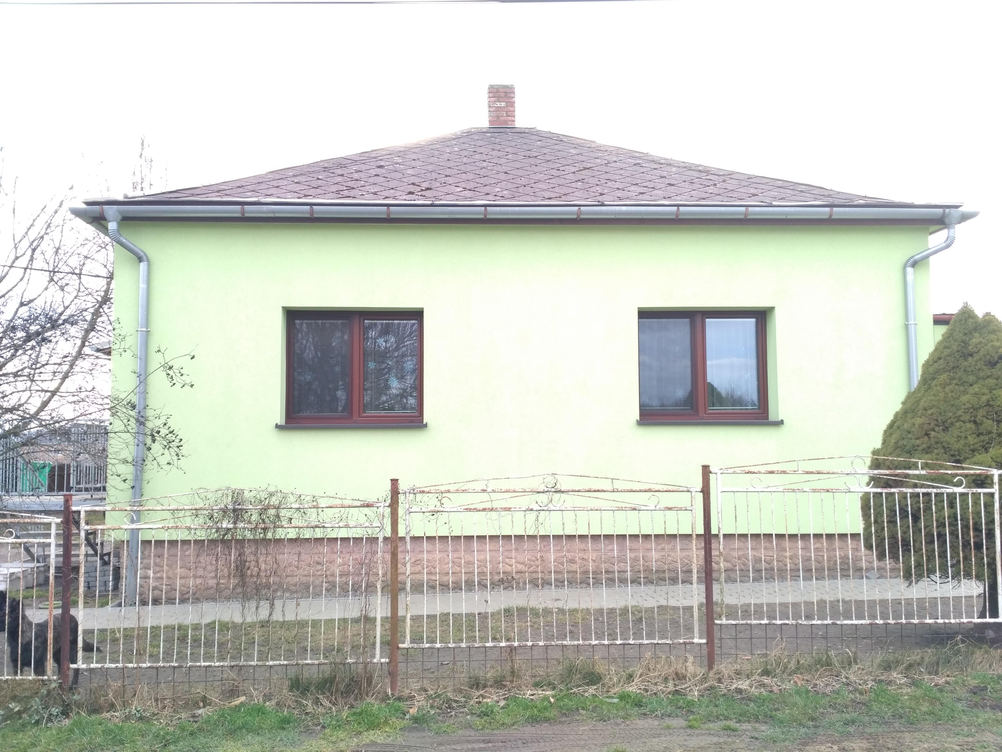 Lenka Blachová - Psí škola Koira foto 1