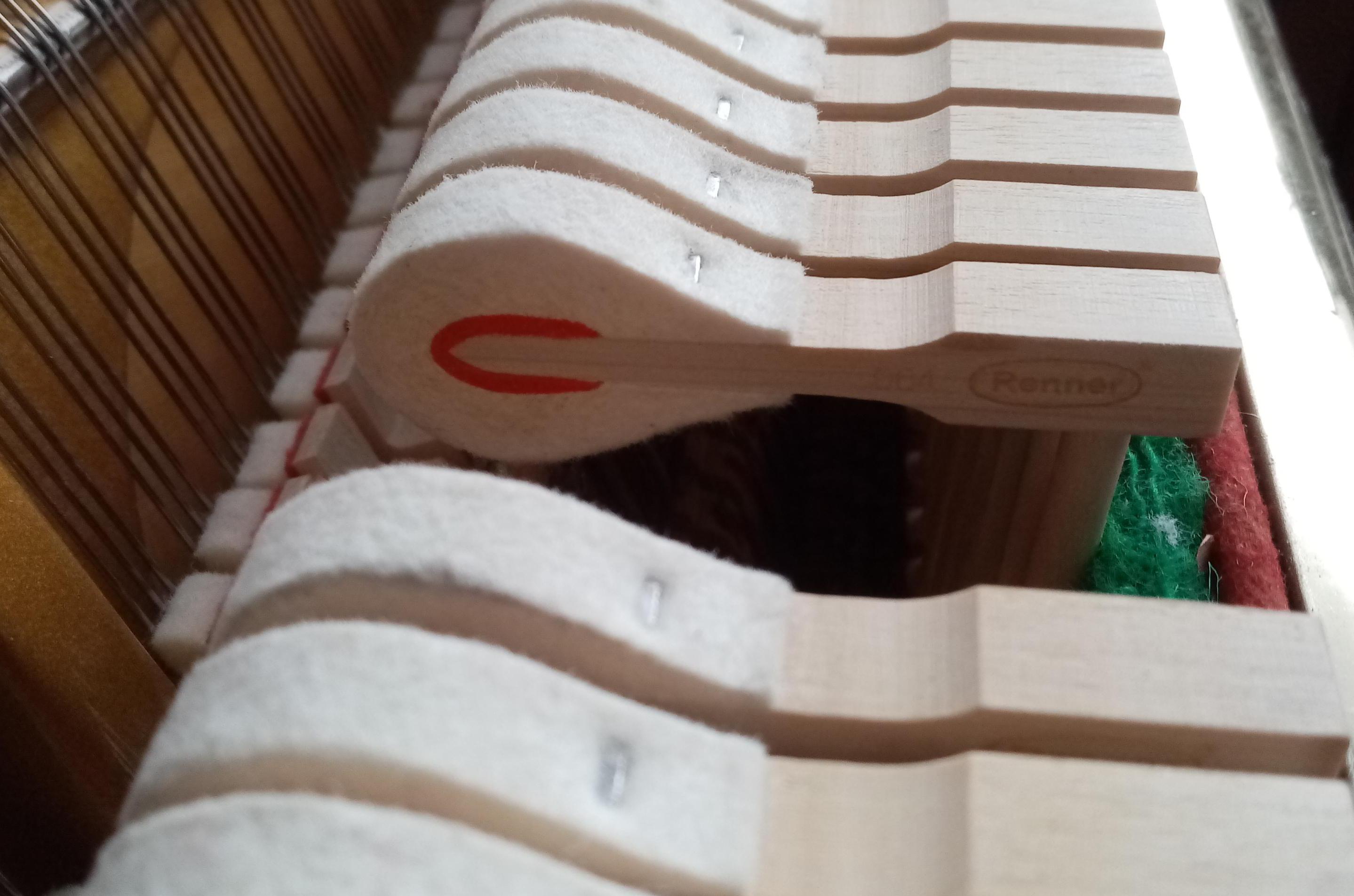 Martin Rak - PIANA NA KLÍČ