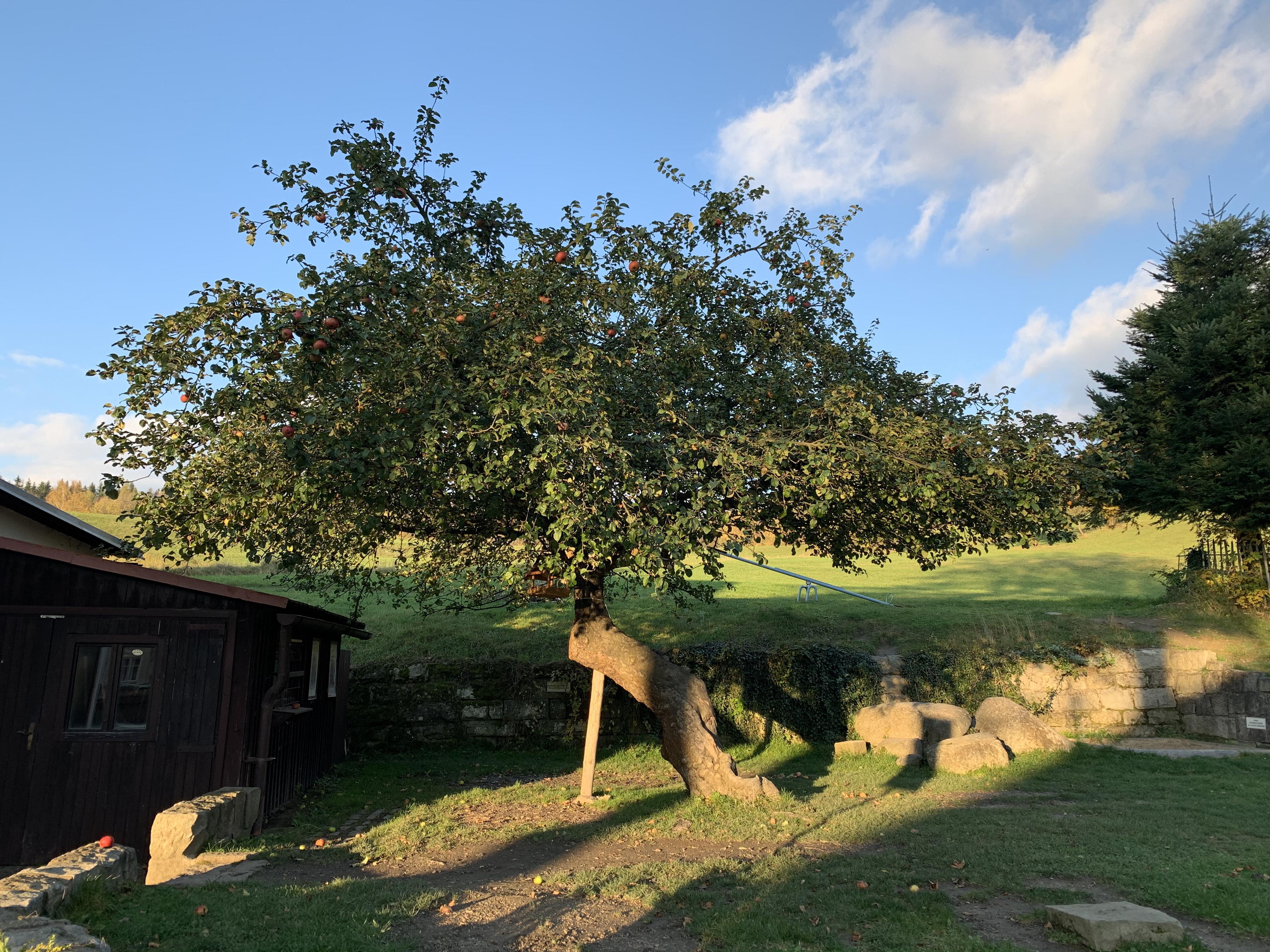 Penzion U Lidmanů foto 5