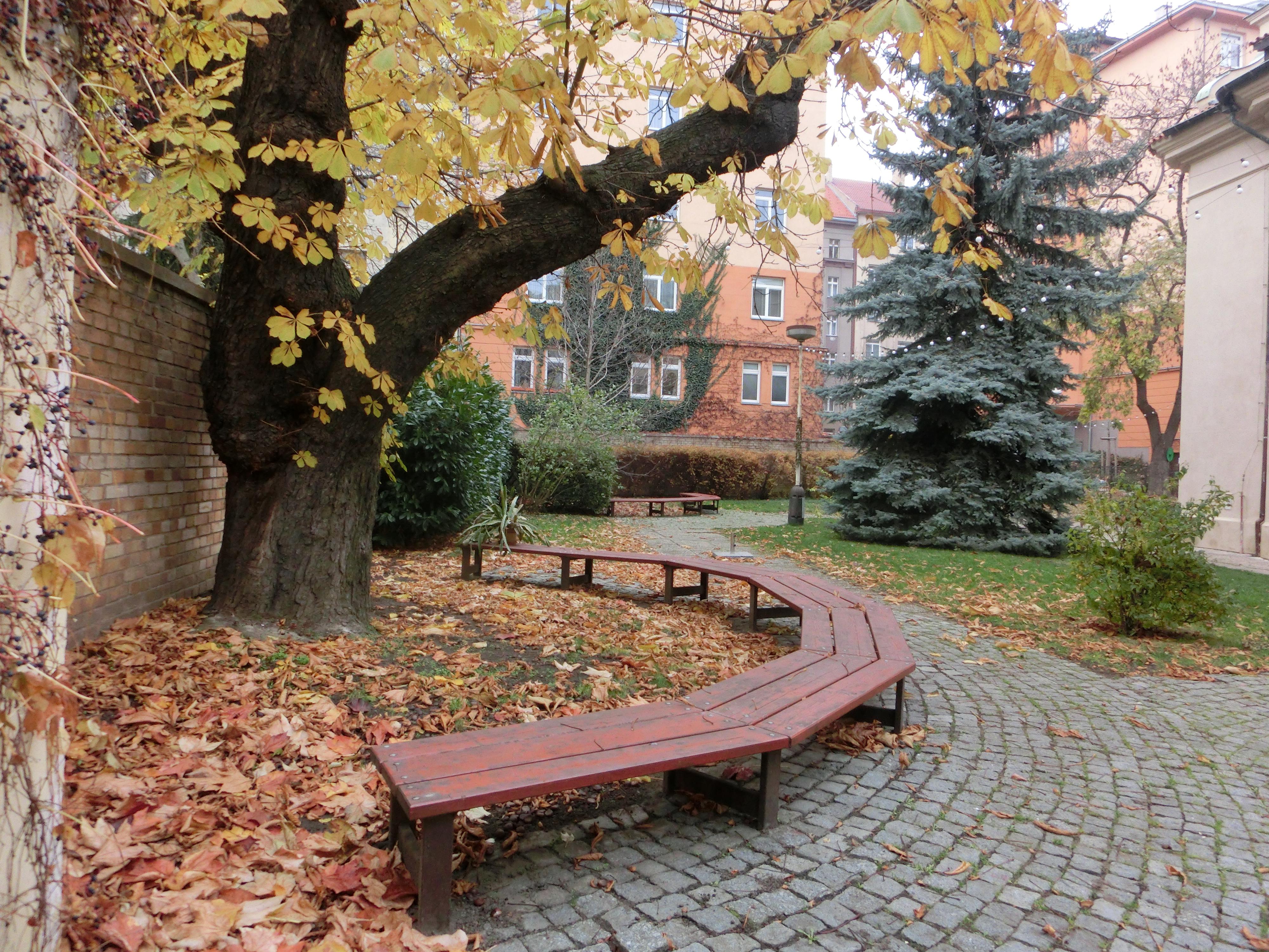 Atrium Žižkov foto 6