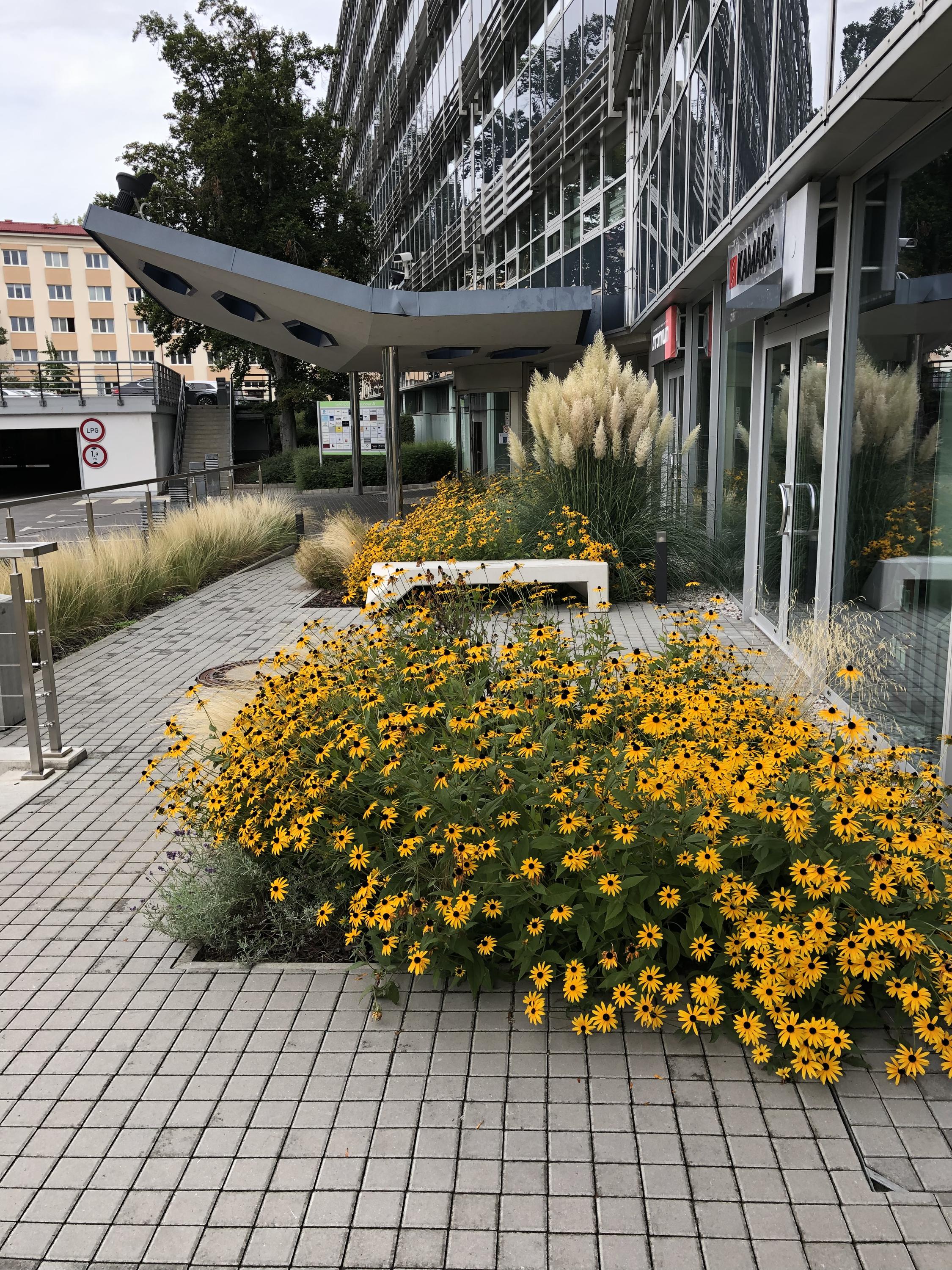 Artyčok Bistro foto 2