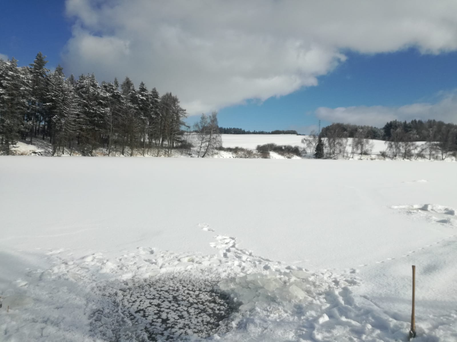 TJ Sokol Toužim, z.s. - přírodní koupaliště foto 5