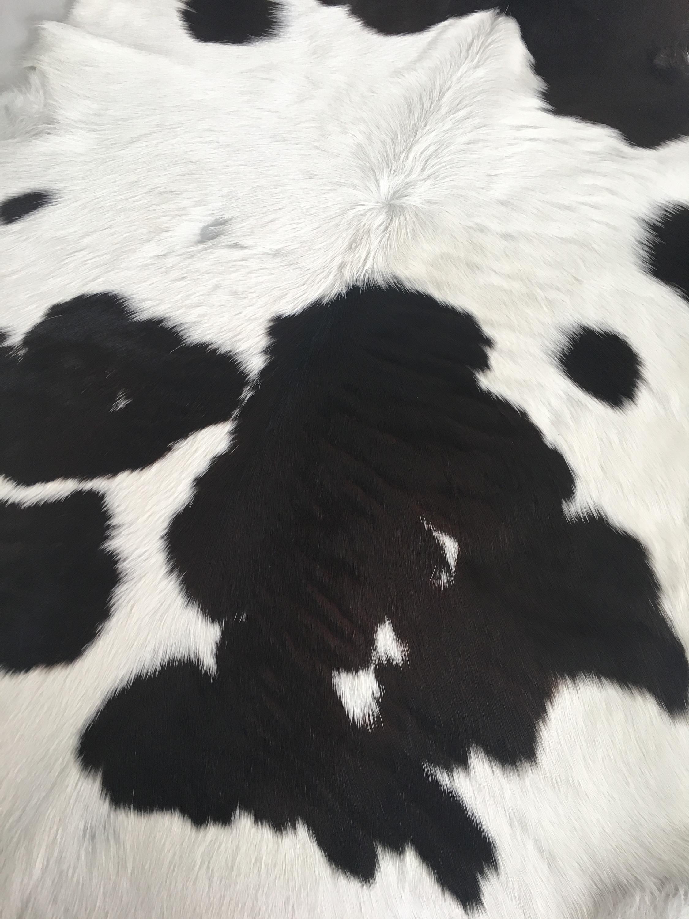 J.K. Trade s.r.o. foto 2