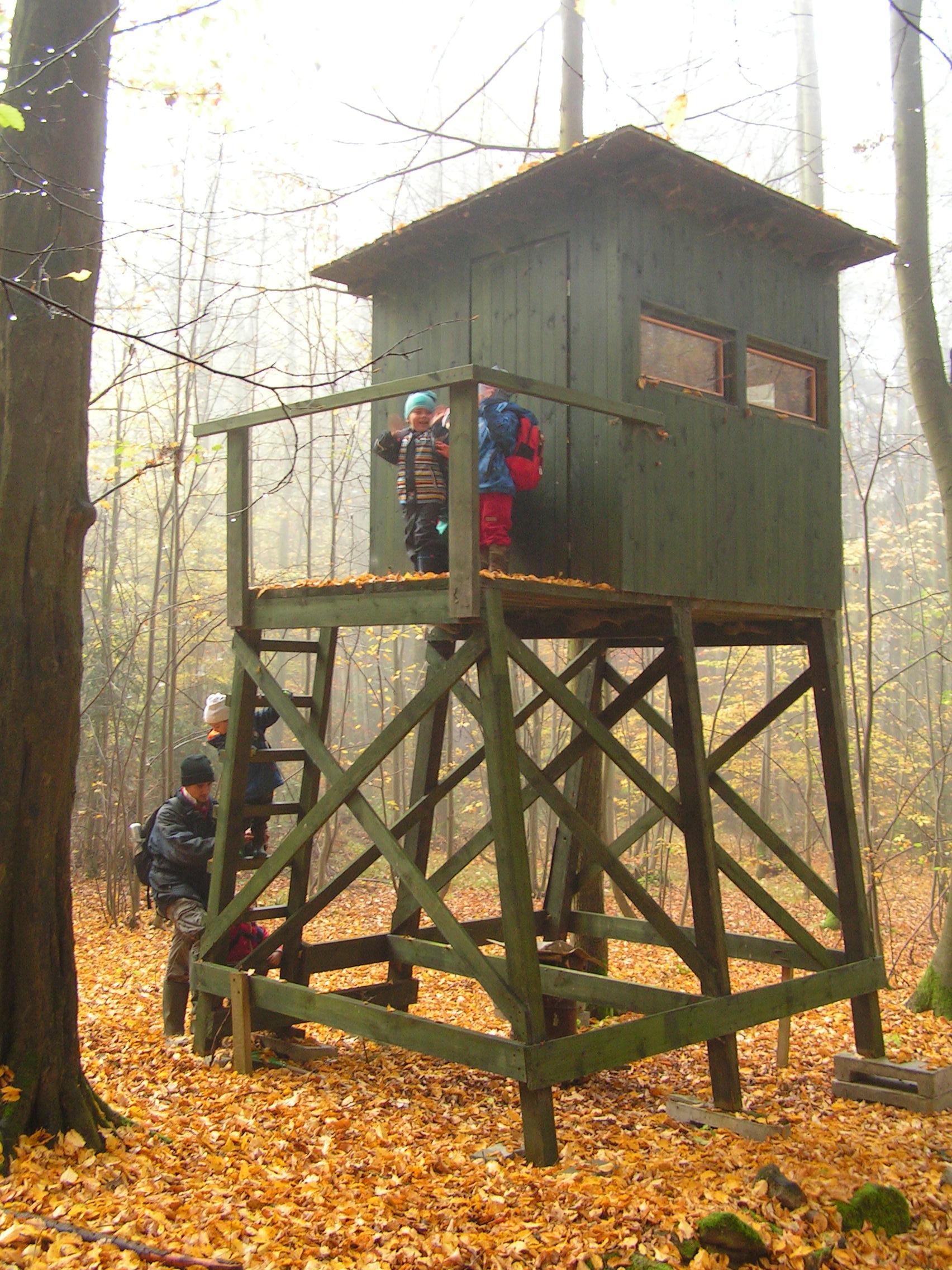 Lesní klub U tří soviček foto 6