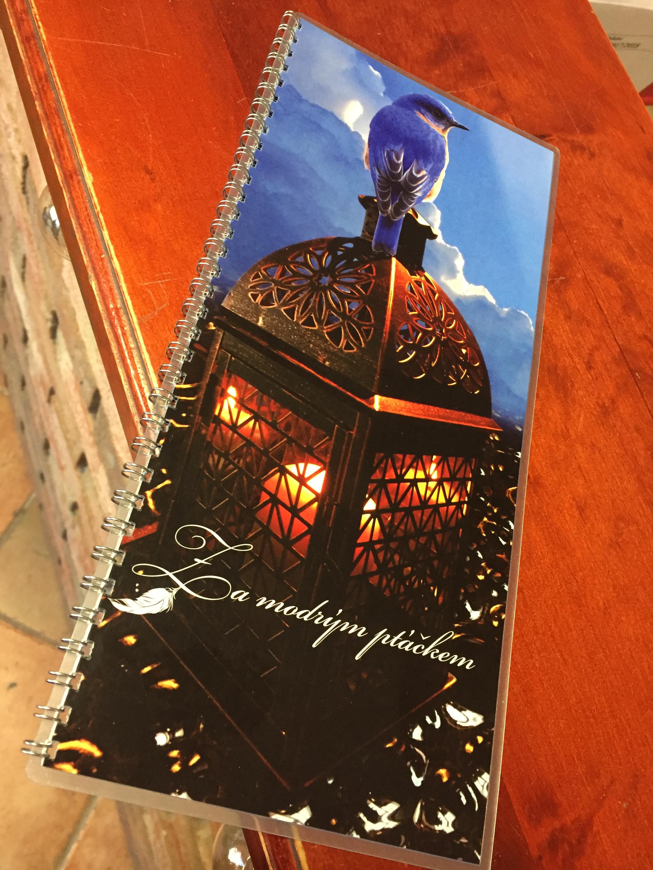 MagiCup cafe Za modrým ptáčkem foto 3