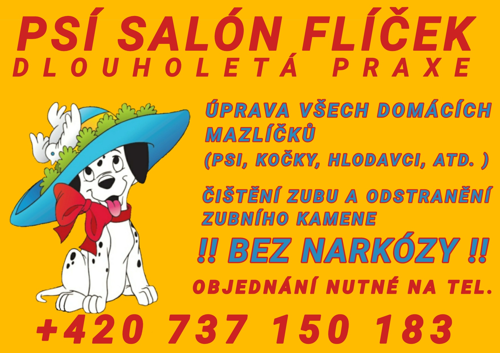 Psí salón Flíček foto 2