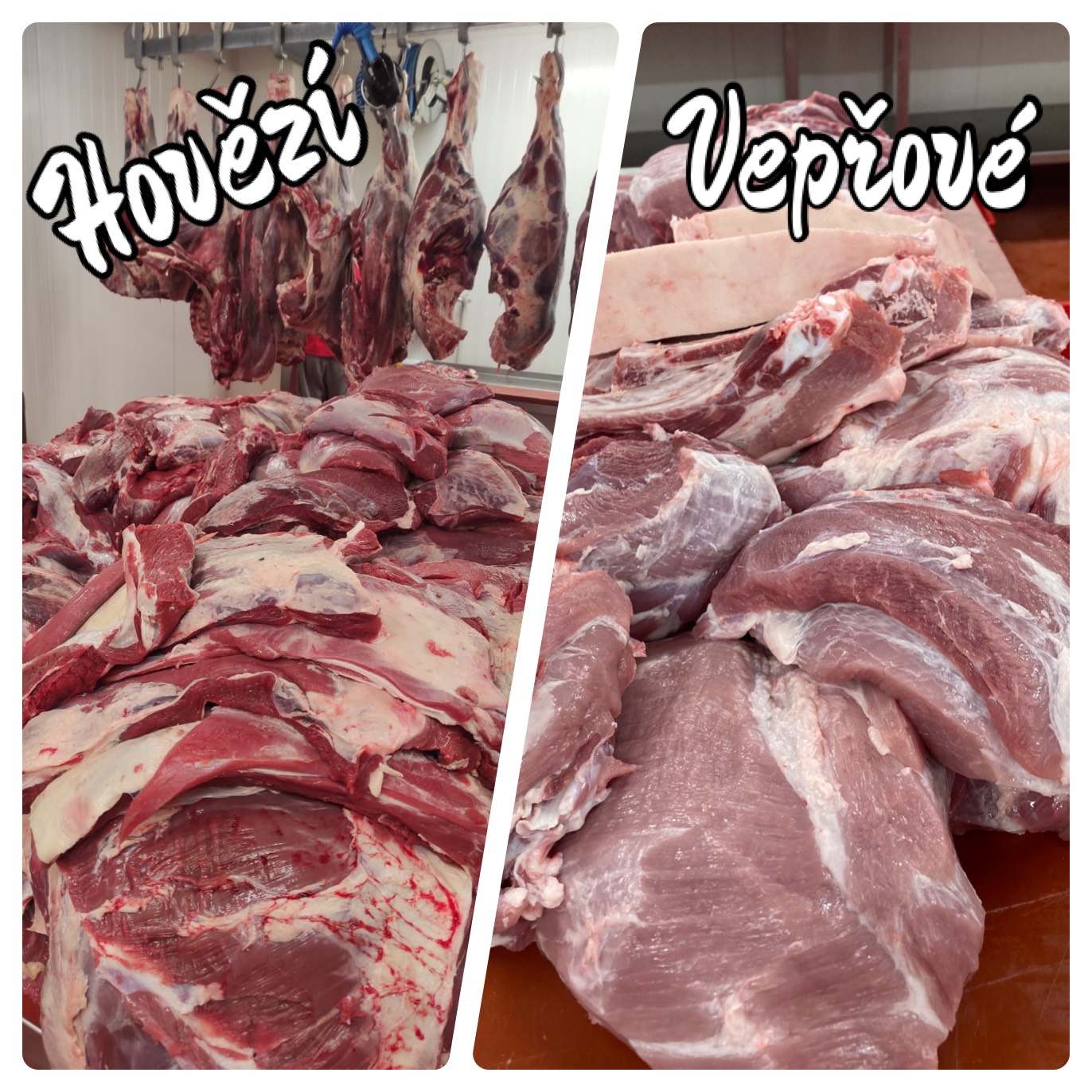 Ekofarma a jatka Tanvald - František Berka foto 4