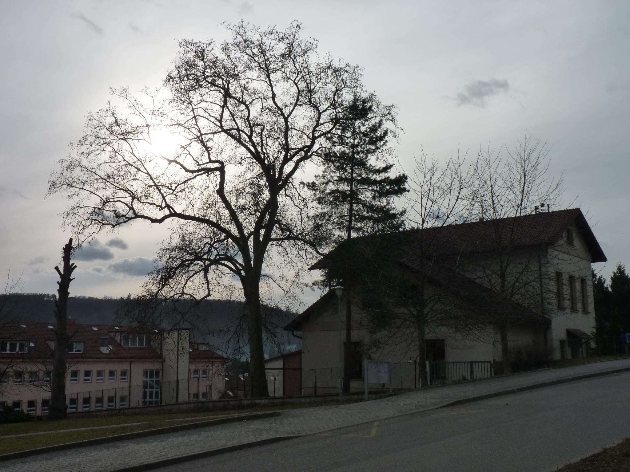 Státní pozemkový úřad foto 3