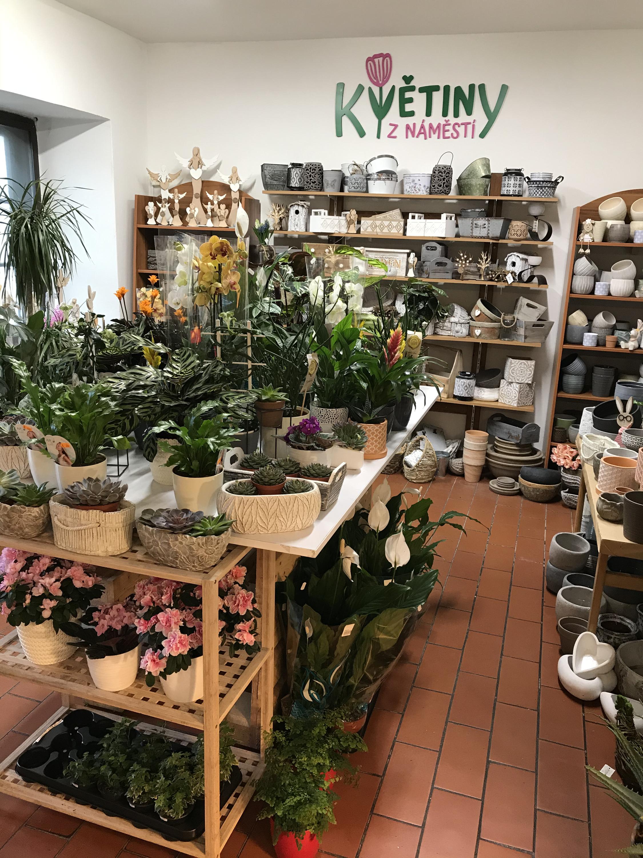 Květiny z náměstí foto 1