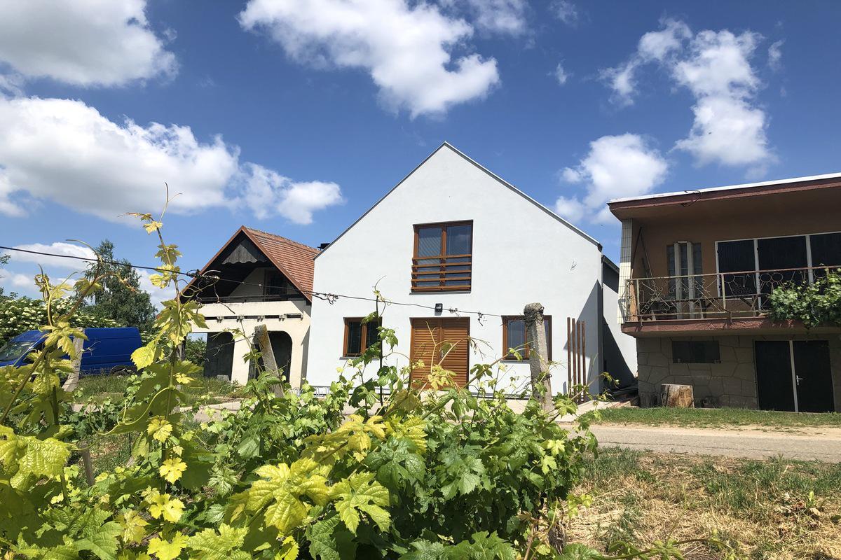 Ubytování Ve Vinici foto 1