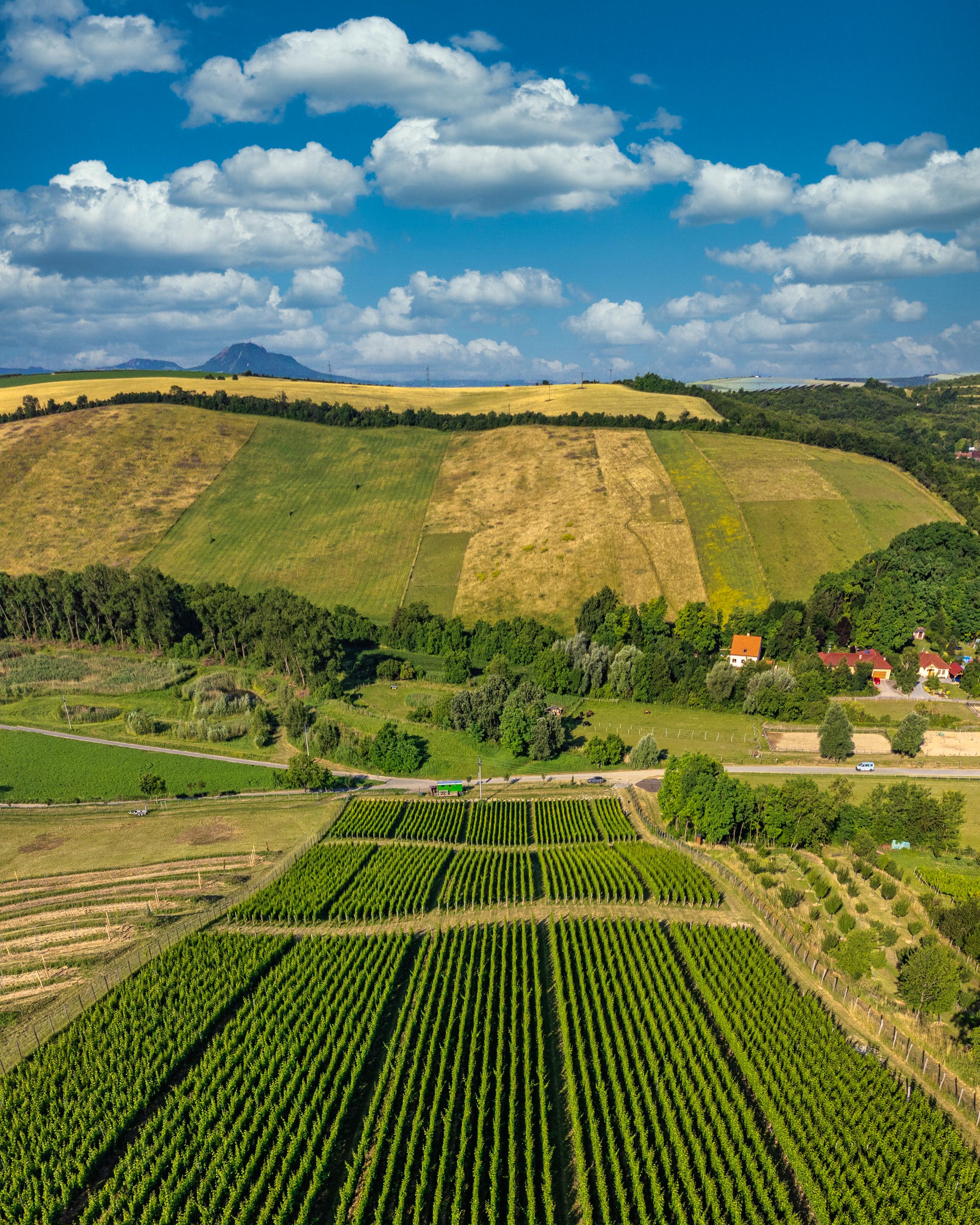 Apartmány Vinařství Václav foto 2