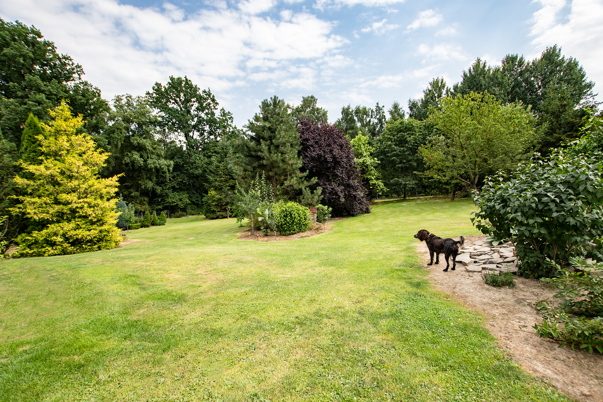 Hotel pro psy Na samotě u lesa