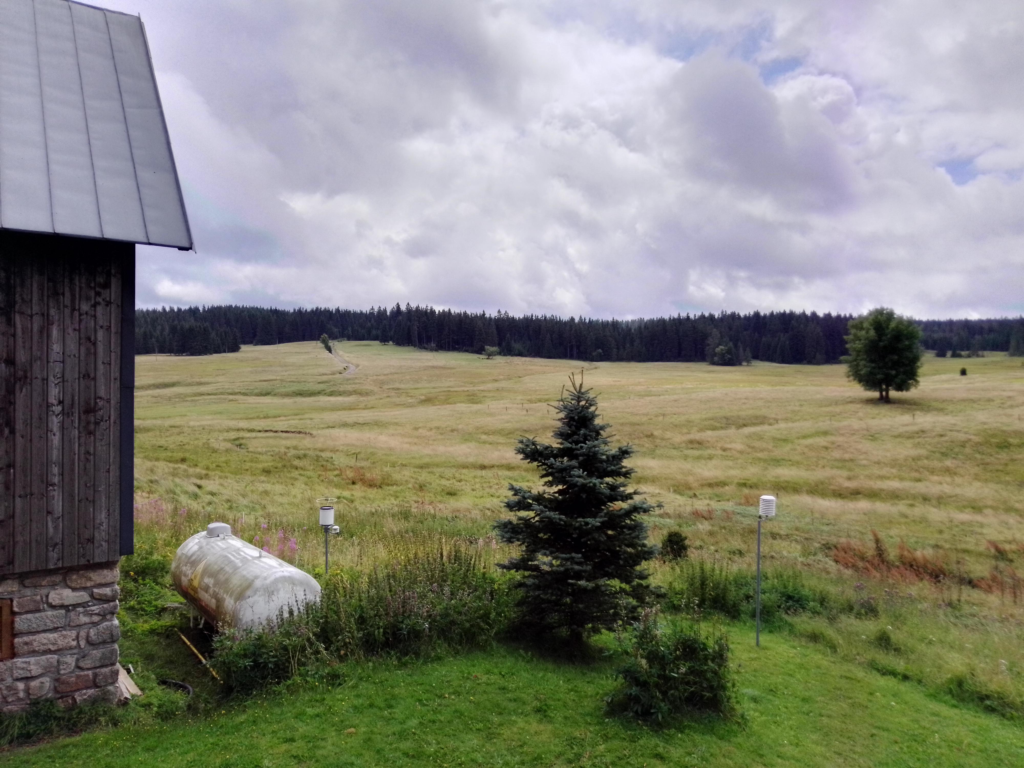 Restaurace Penzion Jelení foto 6