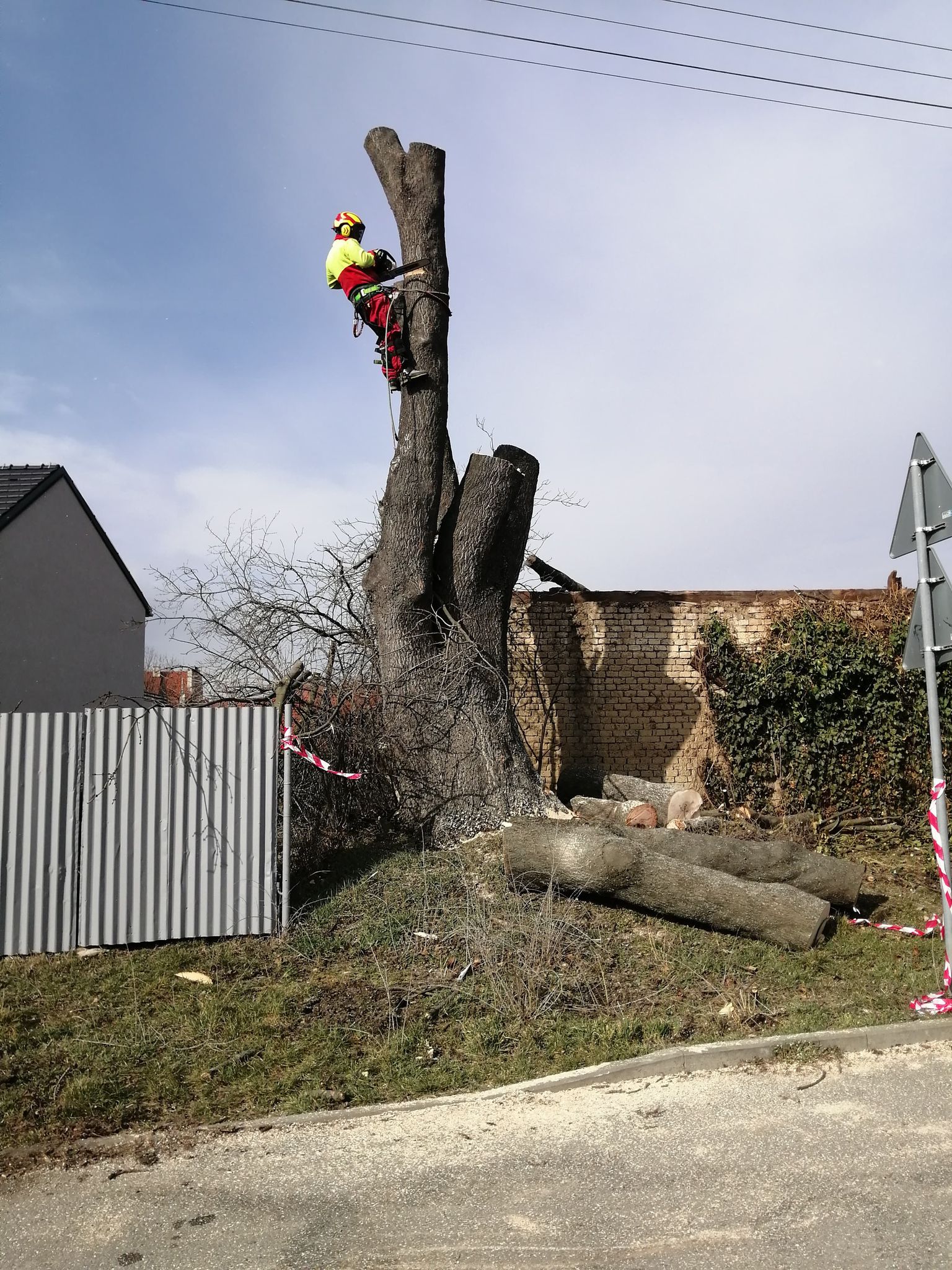 Ing. Lukáš Jankových - Komplexní péče o zeleň foto 2