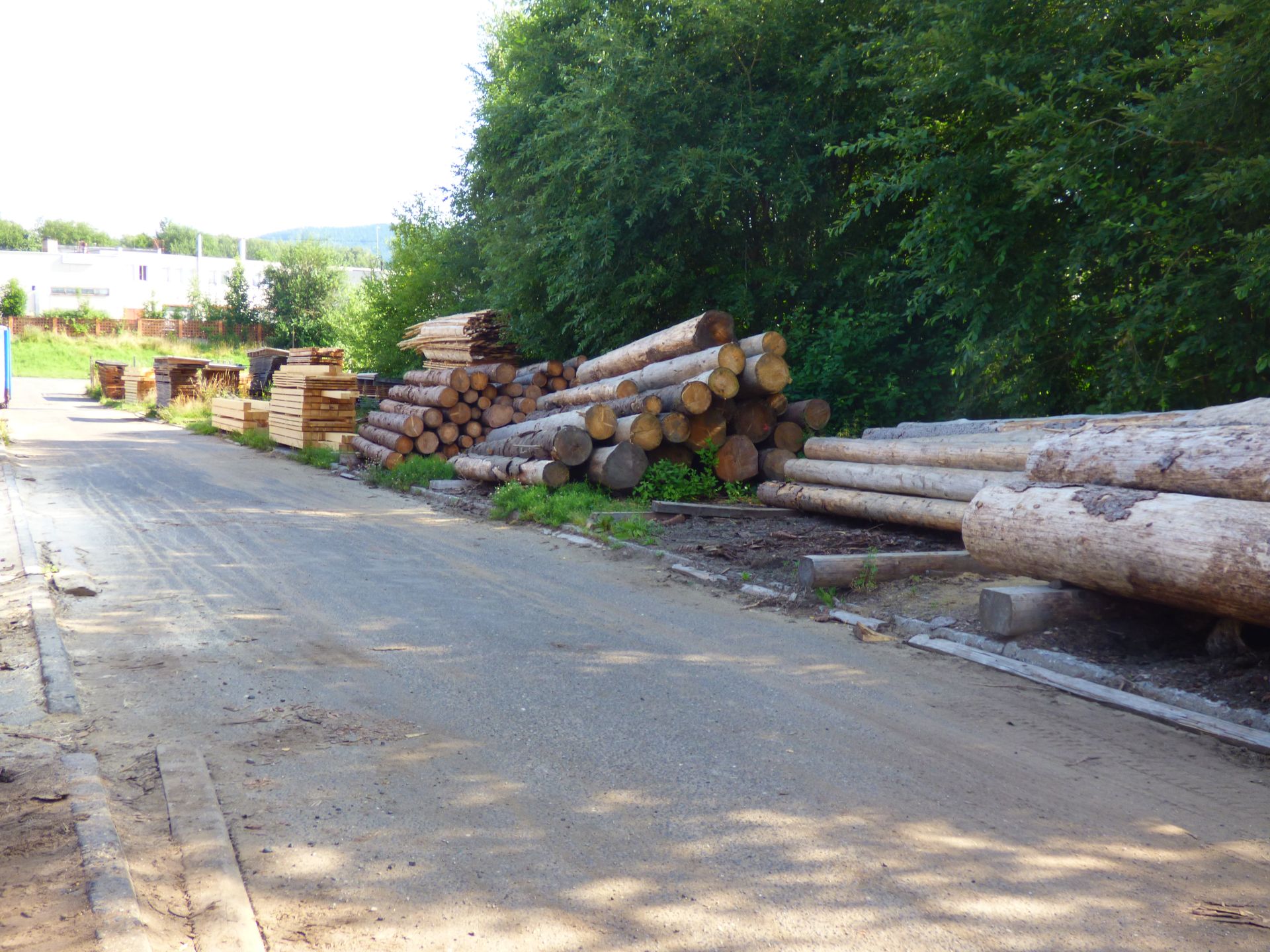 PILA ZLATÁ OLEŠNICE foto 3