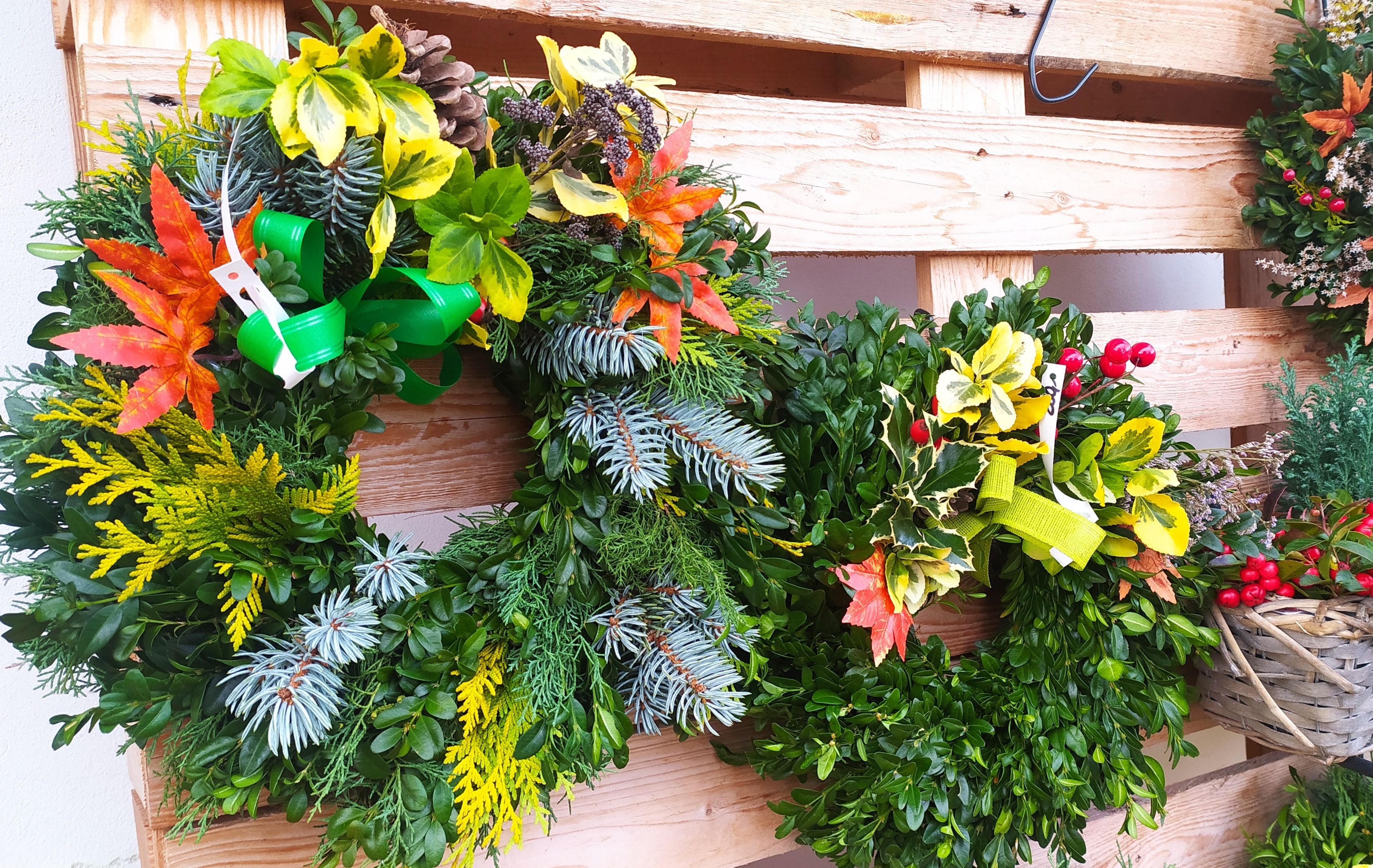 Zahradnictví Senohraby foto 6