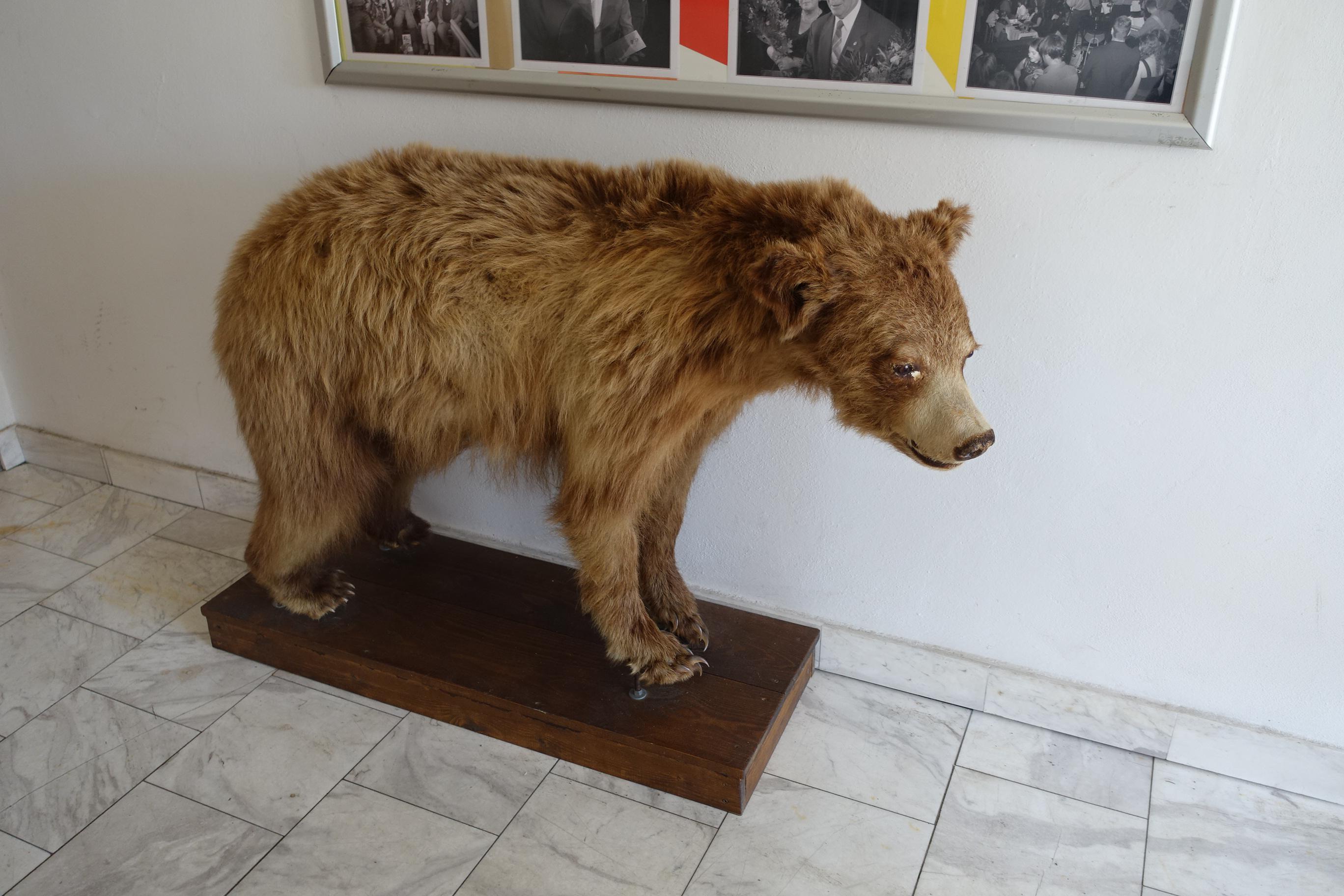 Město Vysoké nad Jizerou - obecní úřad foto 3