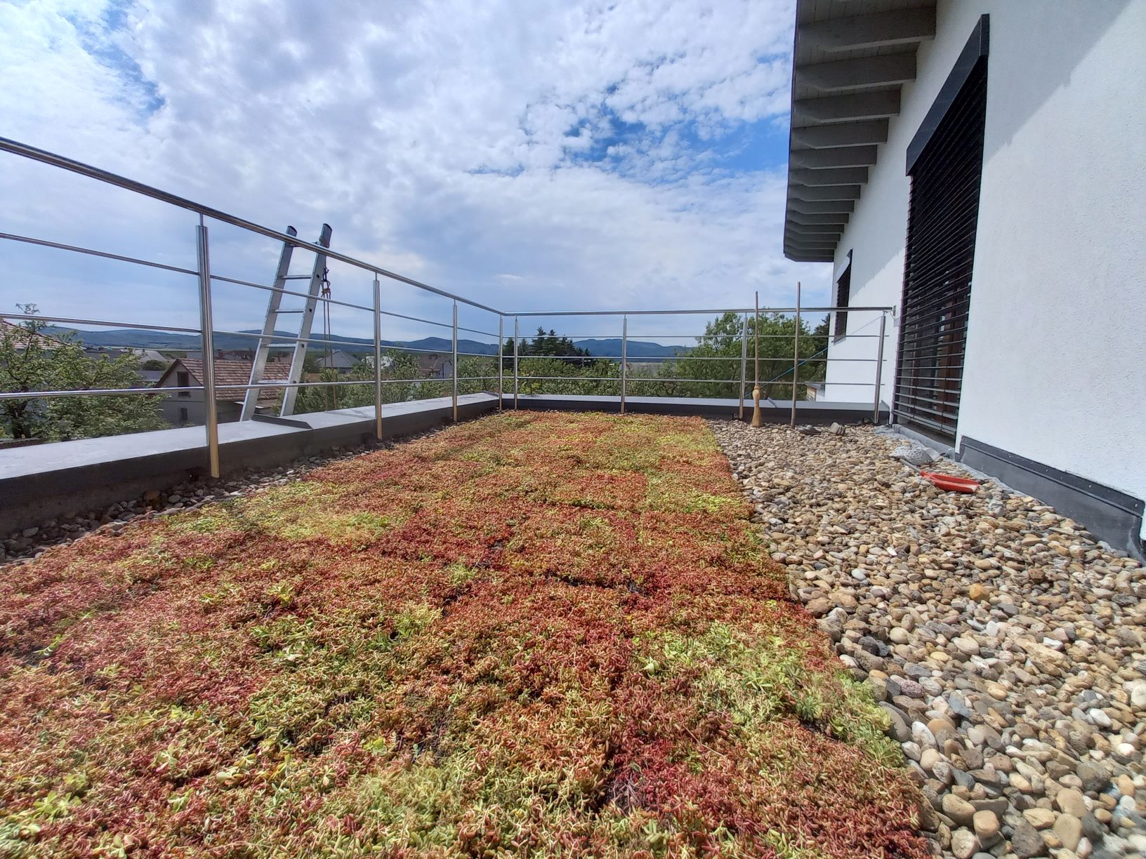 Zelené střechy ECOSEDUM® PACK foto 6
