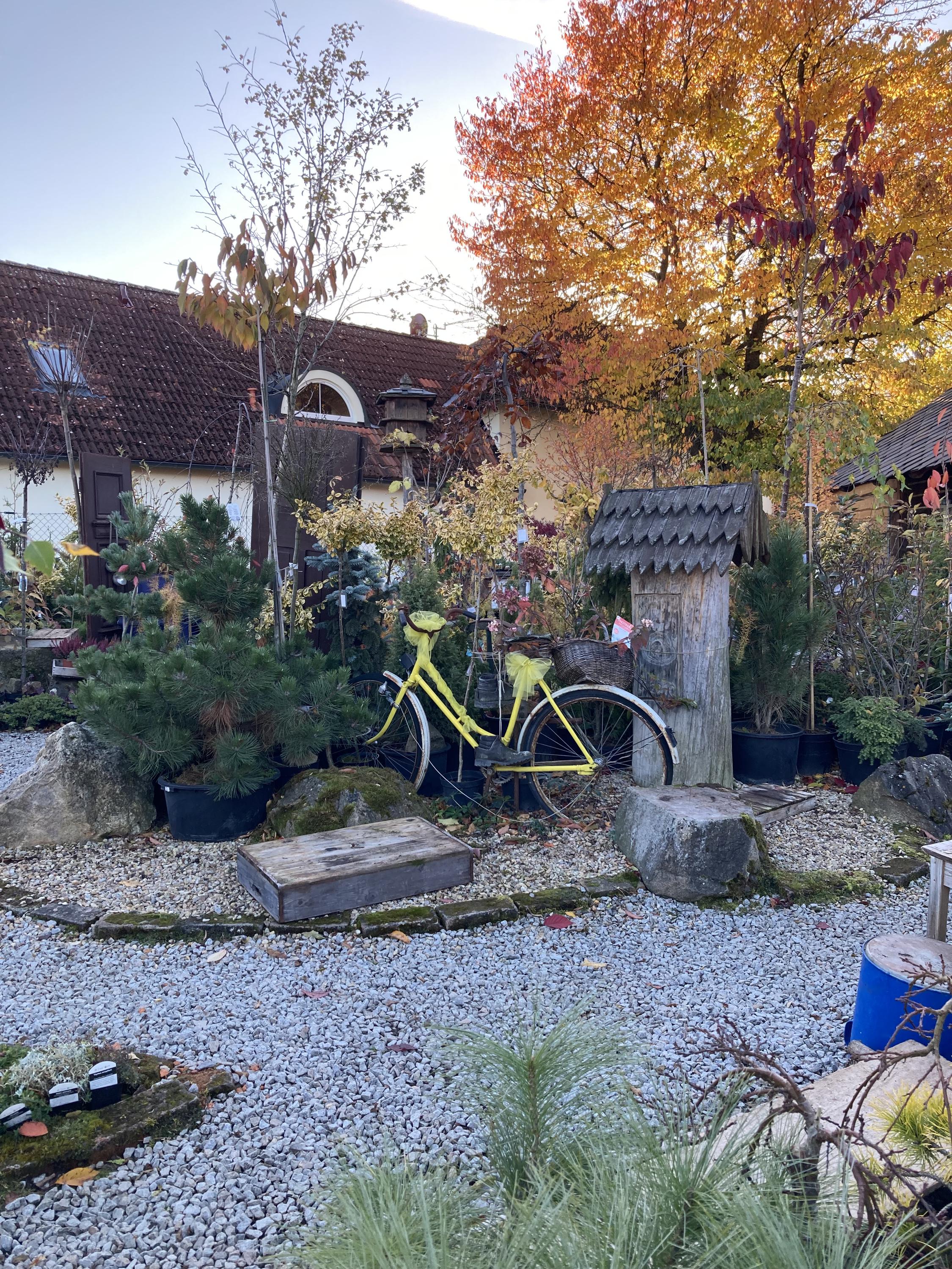 Zahrádka Popice u Jihlavy foto 6