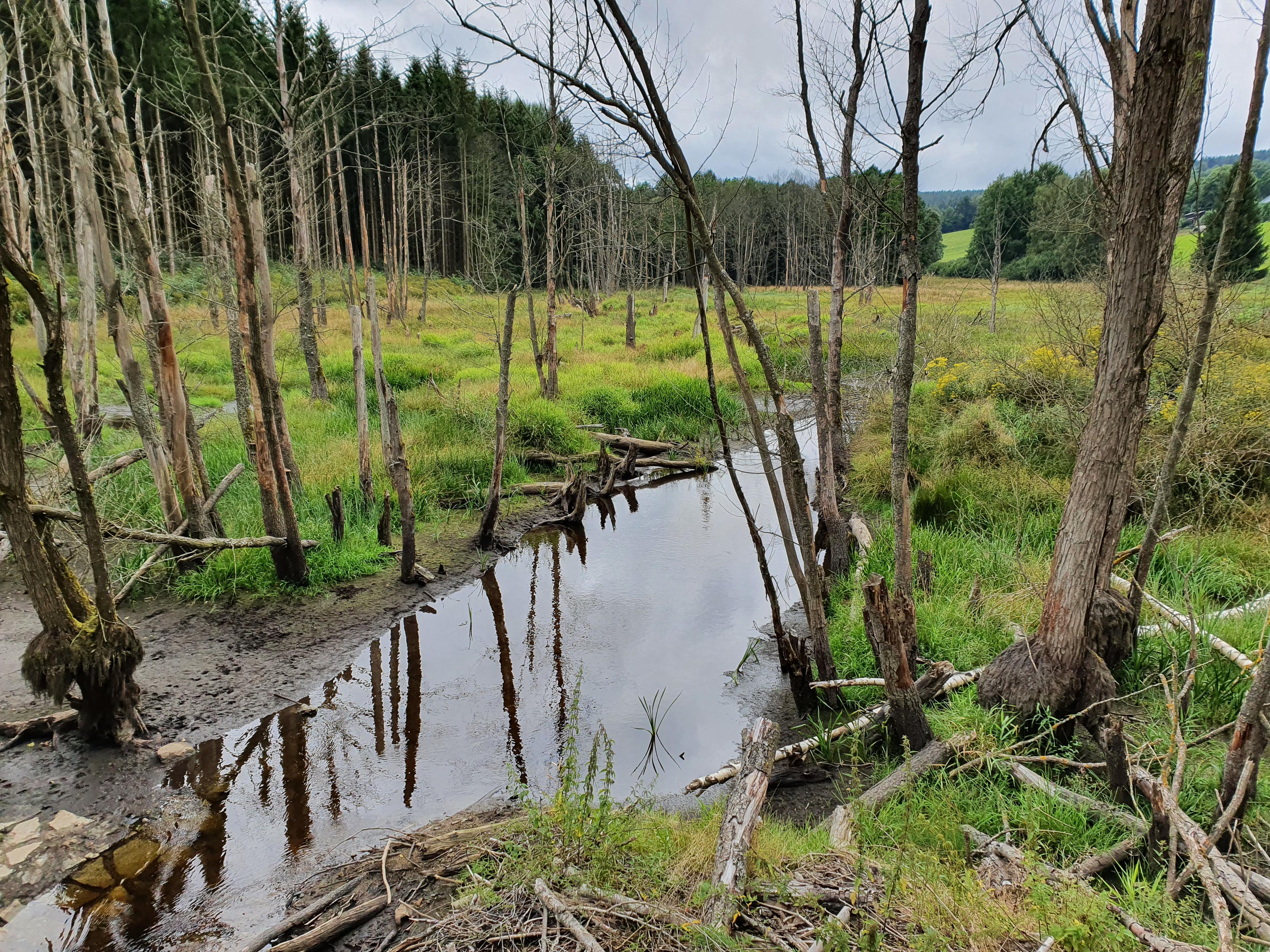 Obora - obecní úřad foto 3