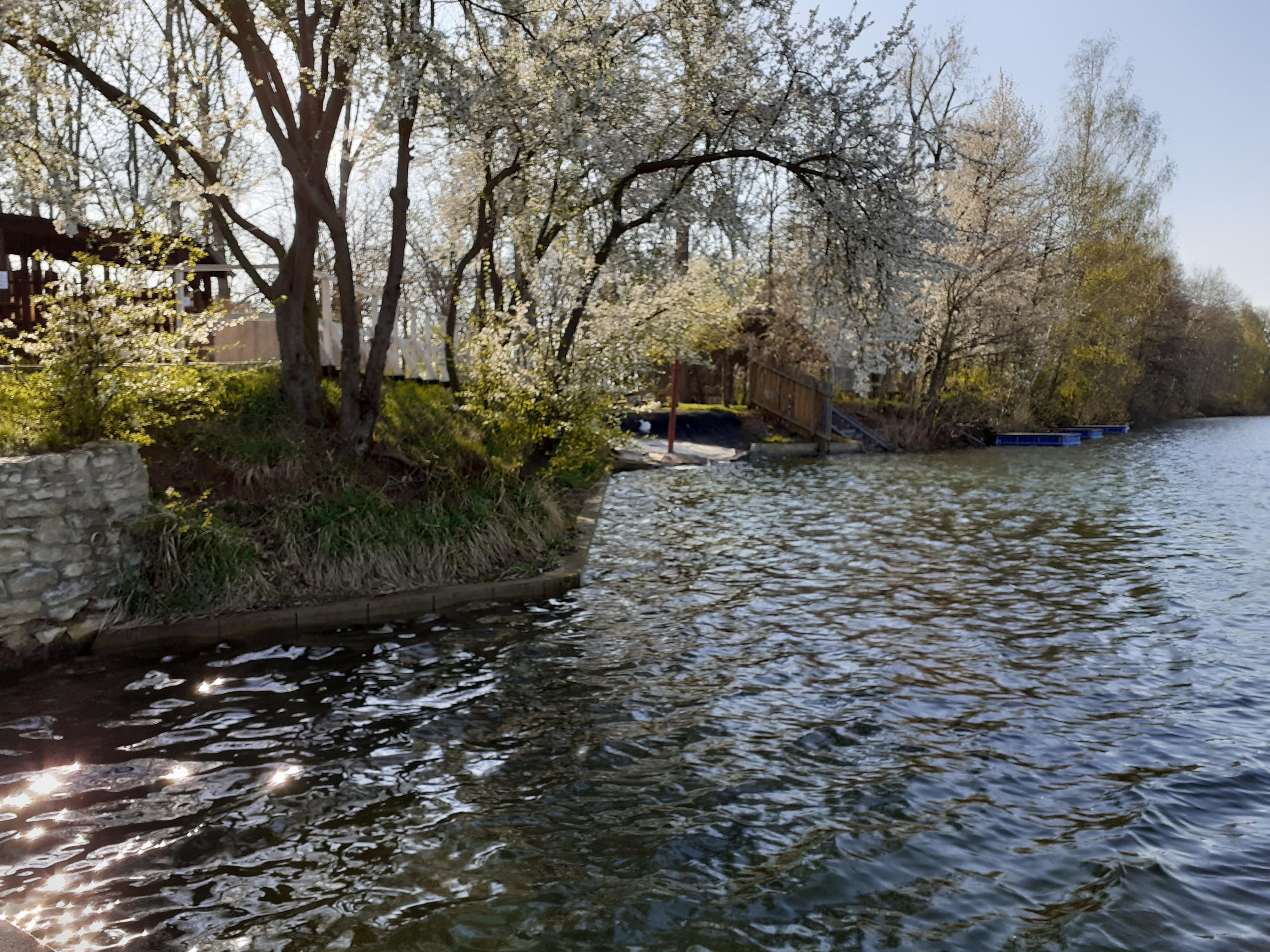 Kemp Beach Park Mlékojedy foto 5