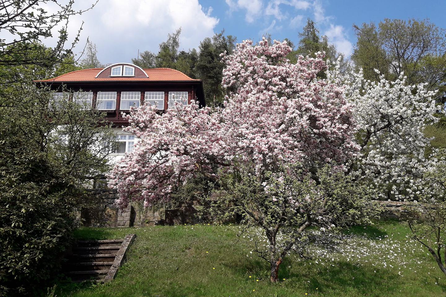 akad.malíř Vladimir Klein